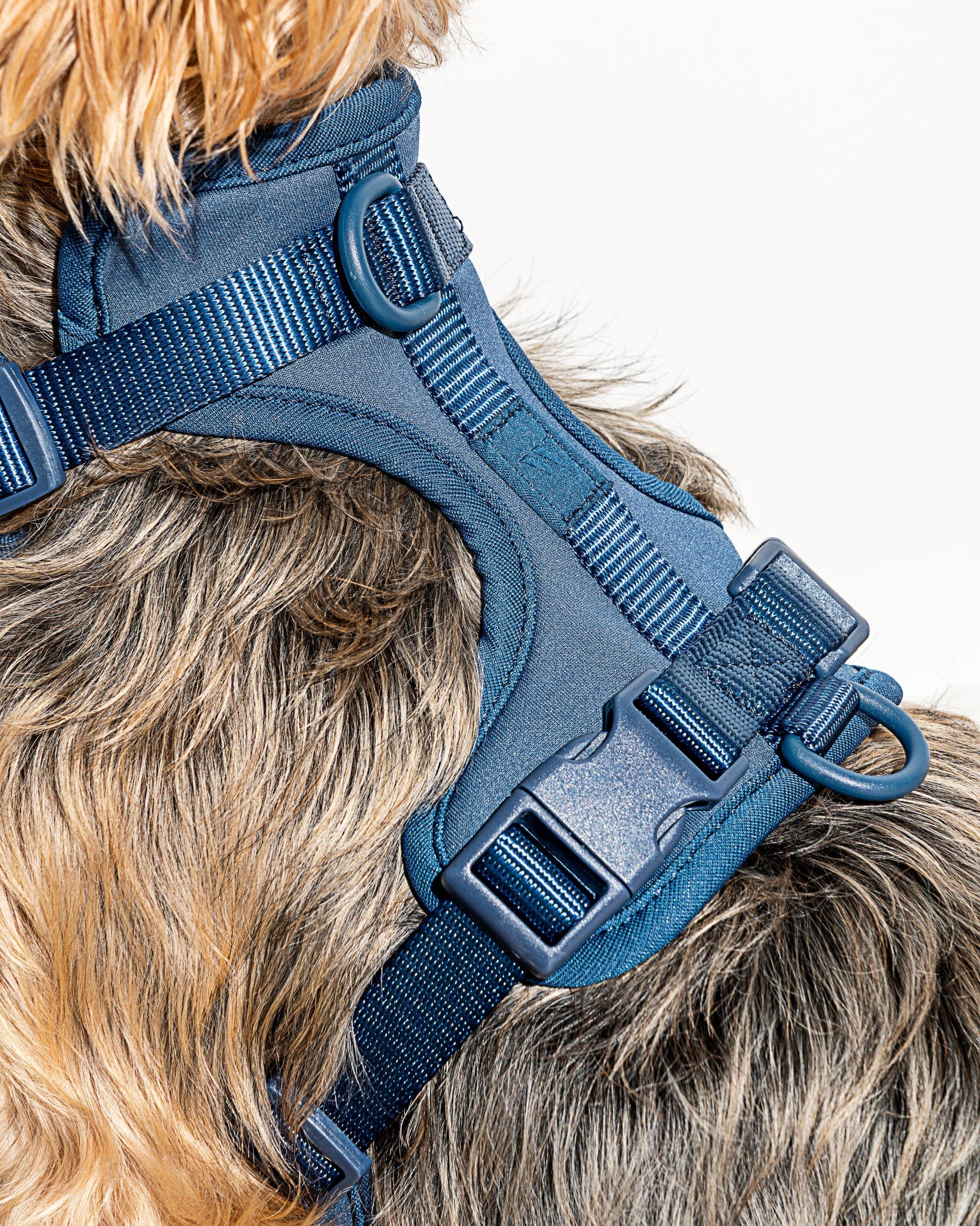 Adjustable Pet Harness – Comfortable &amp; Secure for Dogs &amp; Cats