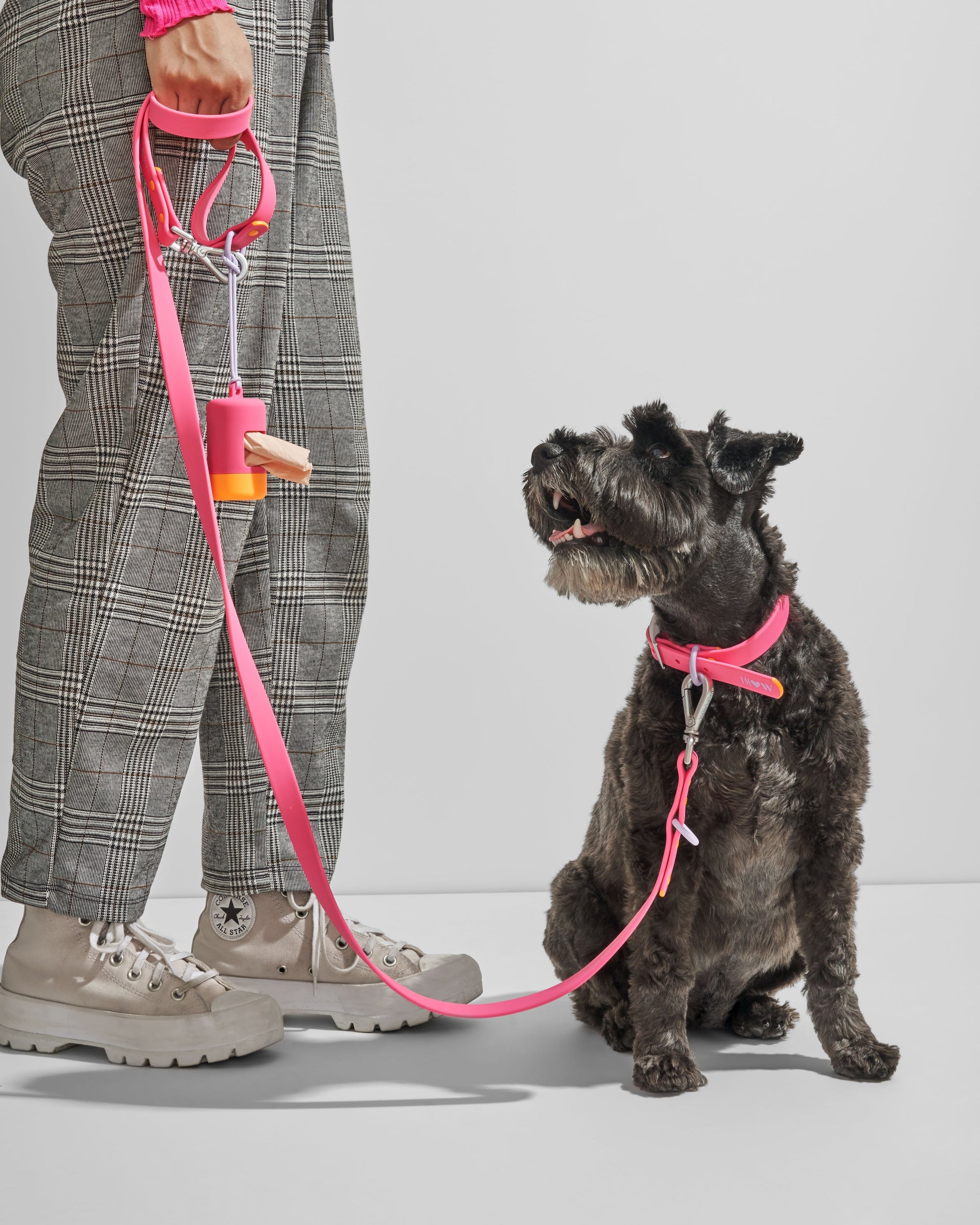 Adjustable Pet Collar – Durable &amp; Comfortable for Dogs &amp; Cats
