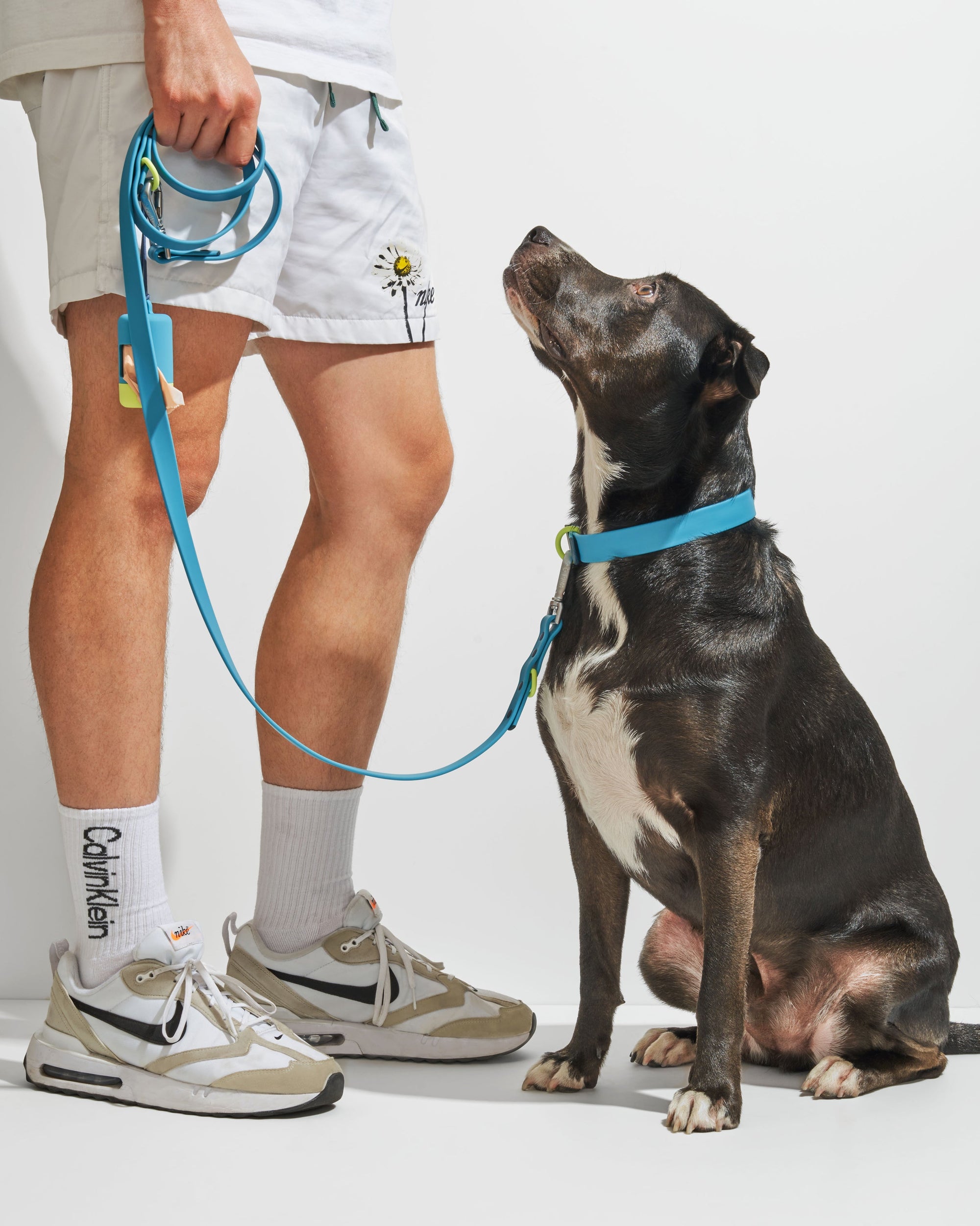 Adjustable Pet Collar – Durable &amp; Comfortable for Dogs &amp; Cats