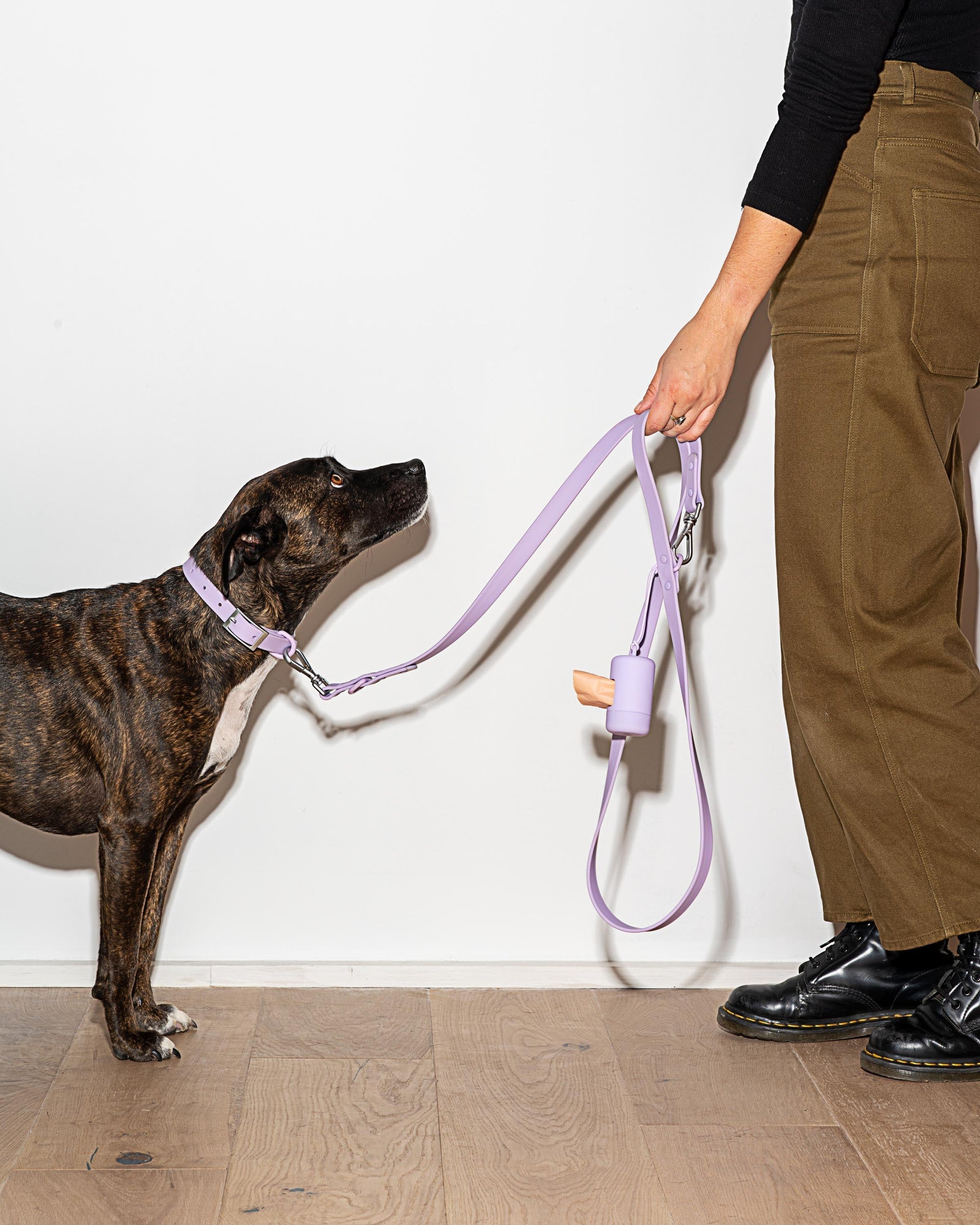 Adjustable Pet Collar – Durable &amp; Comfortable for Dogs &amp; Cats