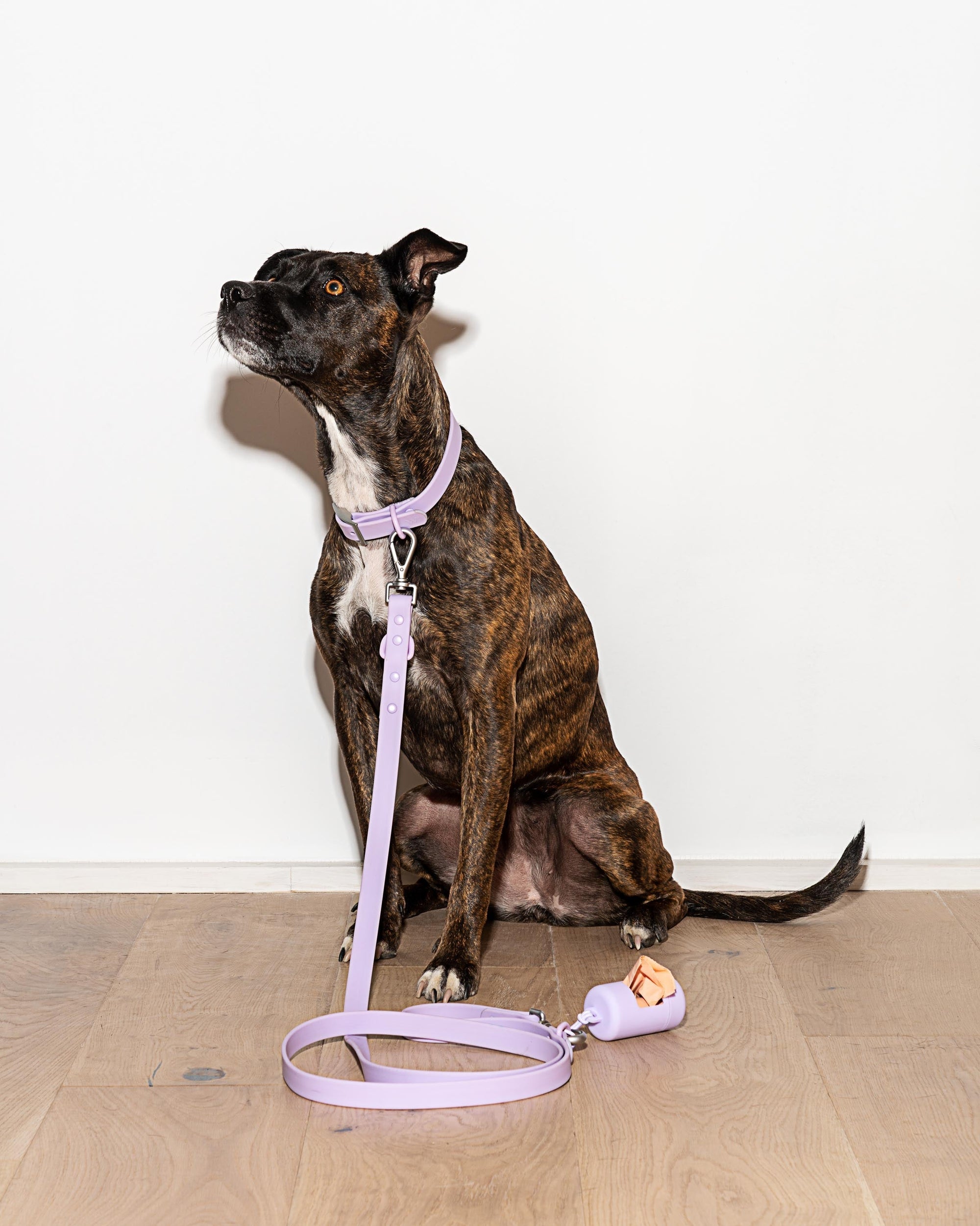Durable Pet Leash – Comfortable &amp; Secure Walking Lead