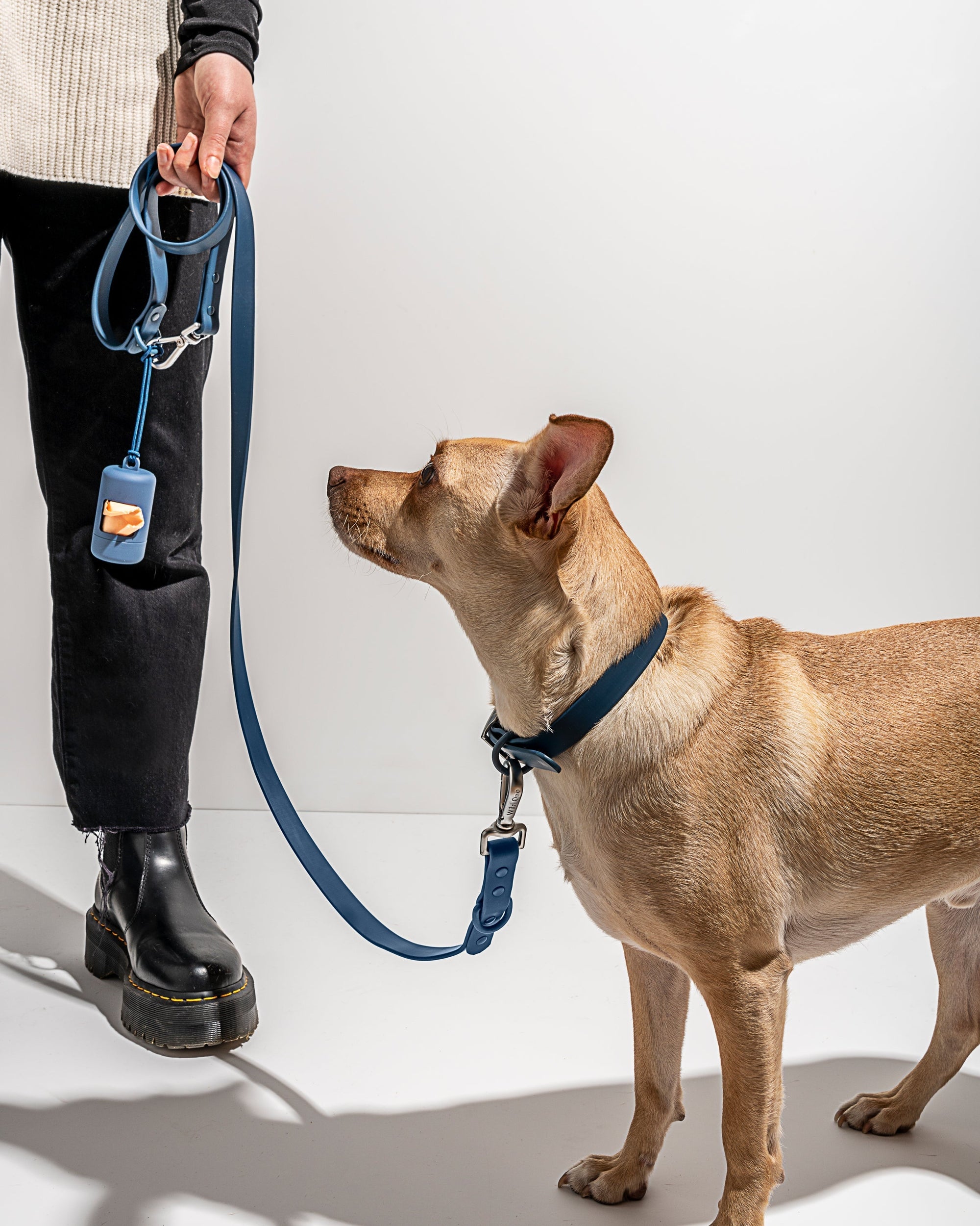 Adjustable Pet Collar – Durable &amp; Comfortable for Dogs &amp; Cats