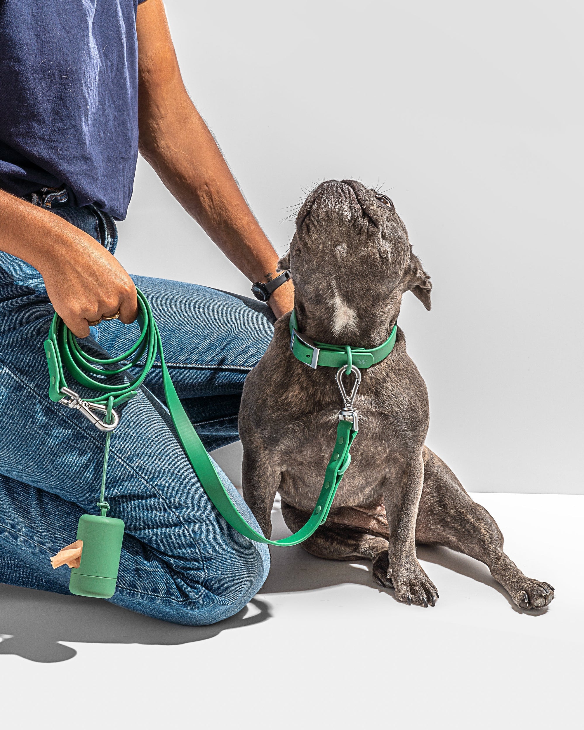 Adjustable Pet Collar – Durable &amp; Comfortable for Dogs &amp; Cats