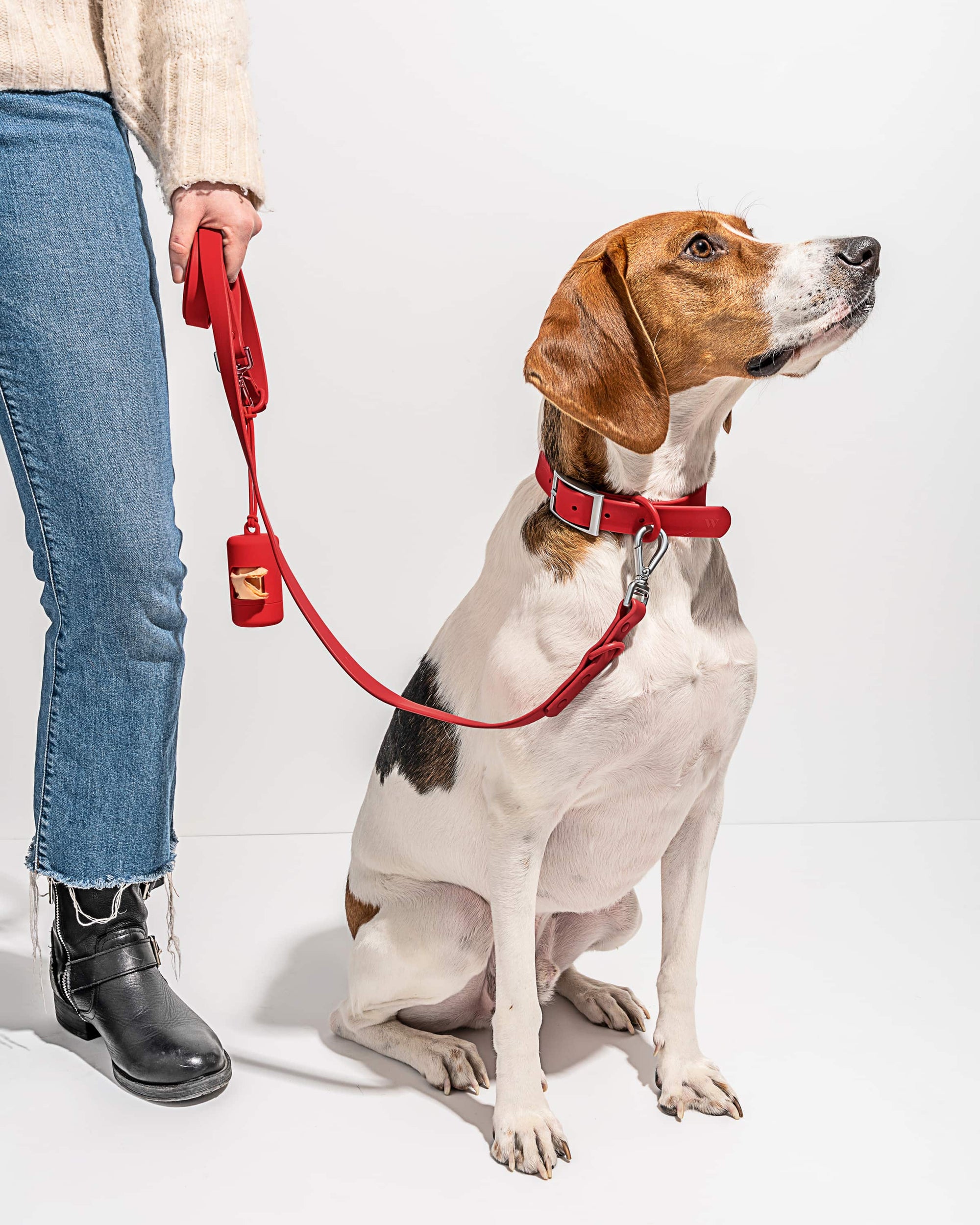 Adjustable Pet Collar – Durable &amp; Comfortable for Dogs &amp; Cats