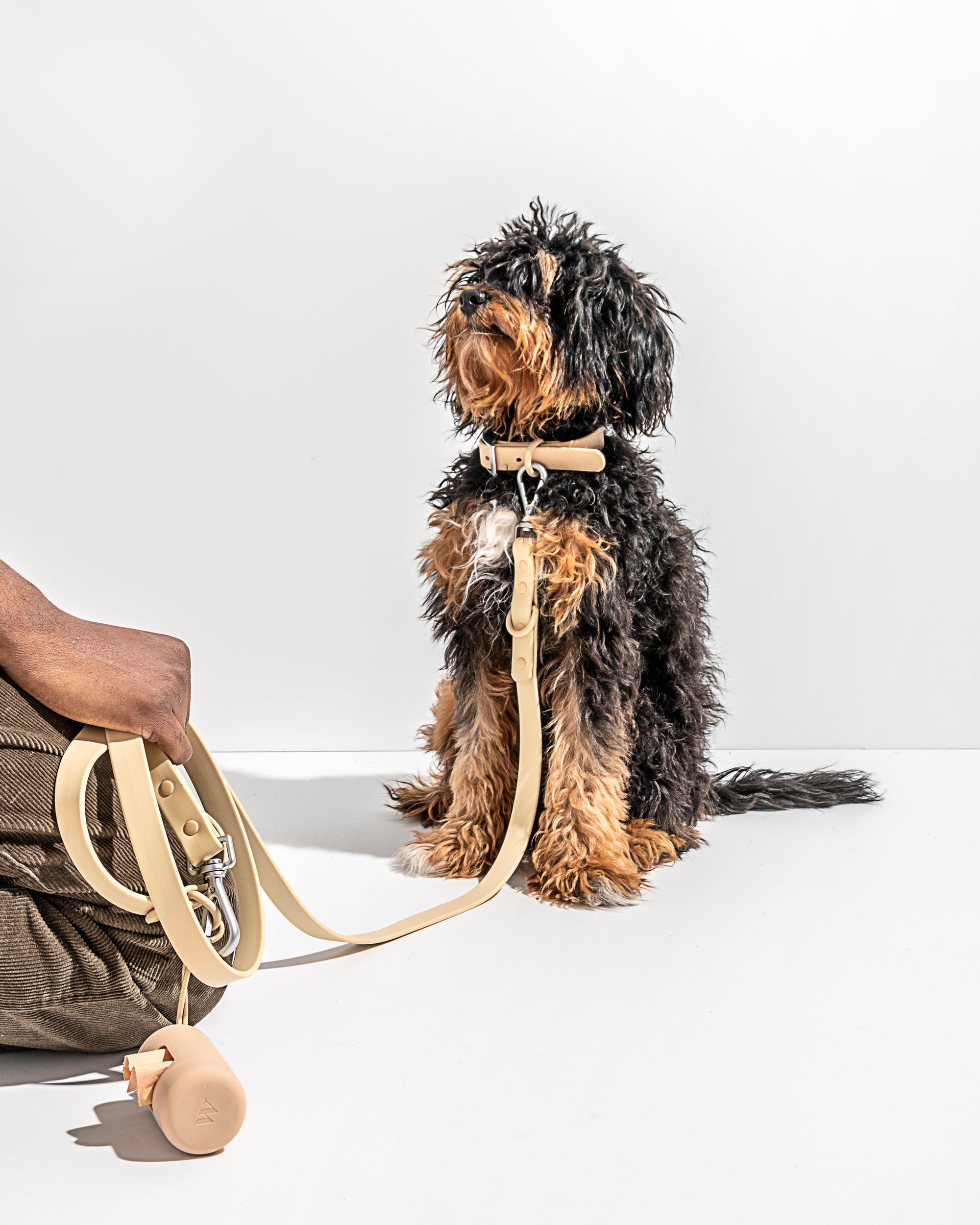 Adjustable Pet Collar – Durable &amp; Comfortable for Dogs &amp; Cats