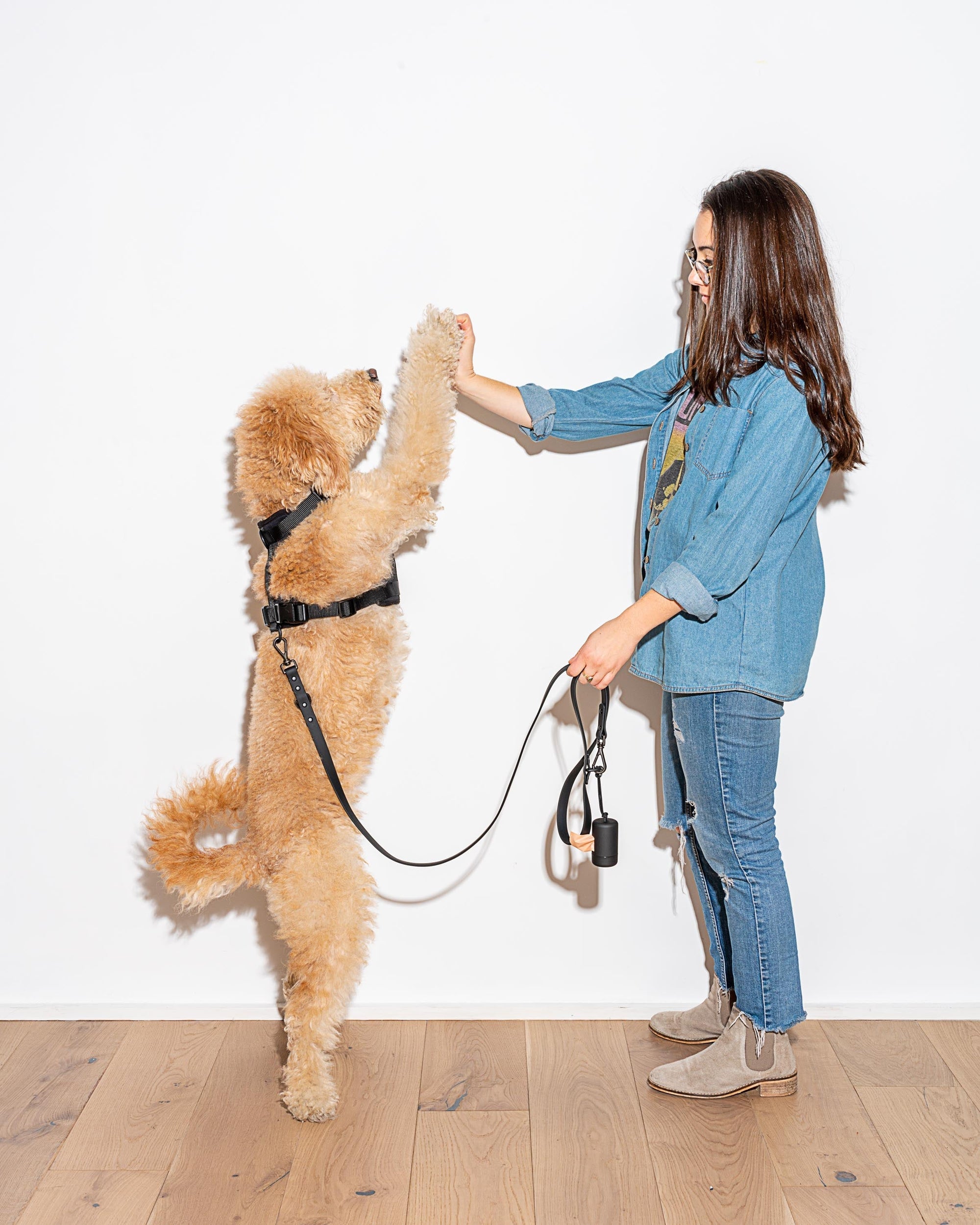 Durable Pet Leash – Comfortable &amp; Secure Walking Lead