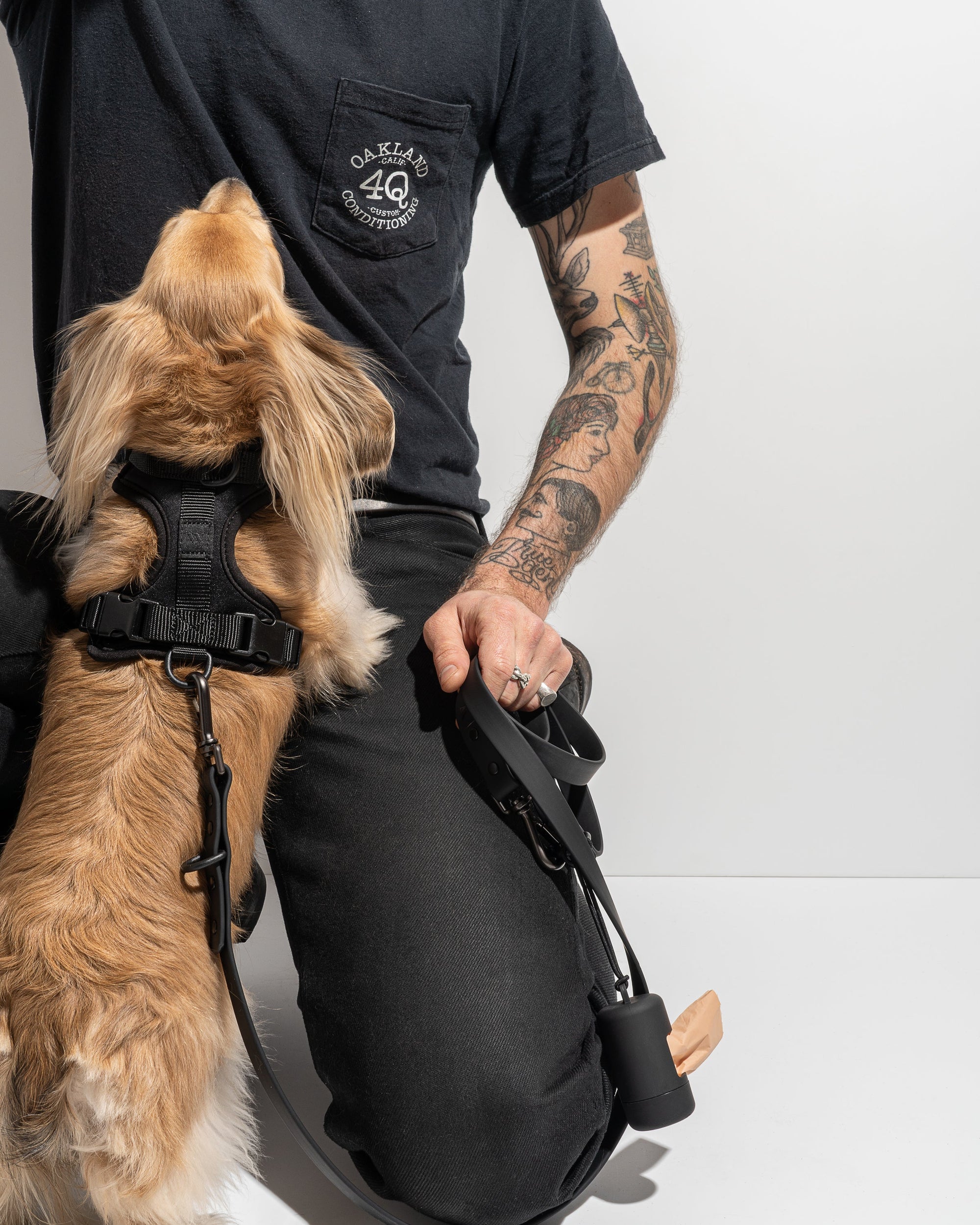 Adjustable Pet Harness – Comfortable &amp; Secure for Dogs &amp; Cats
