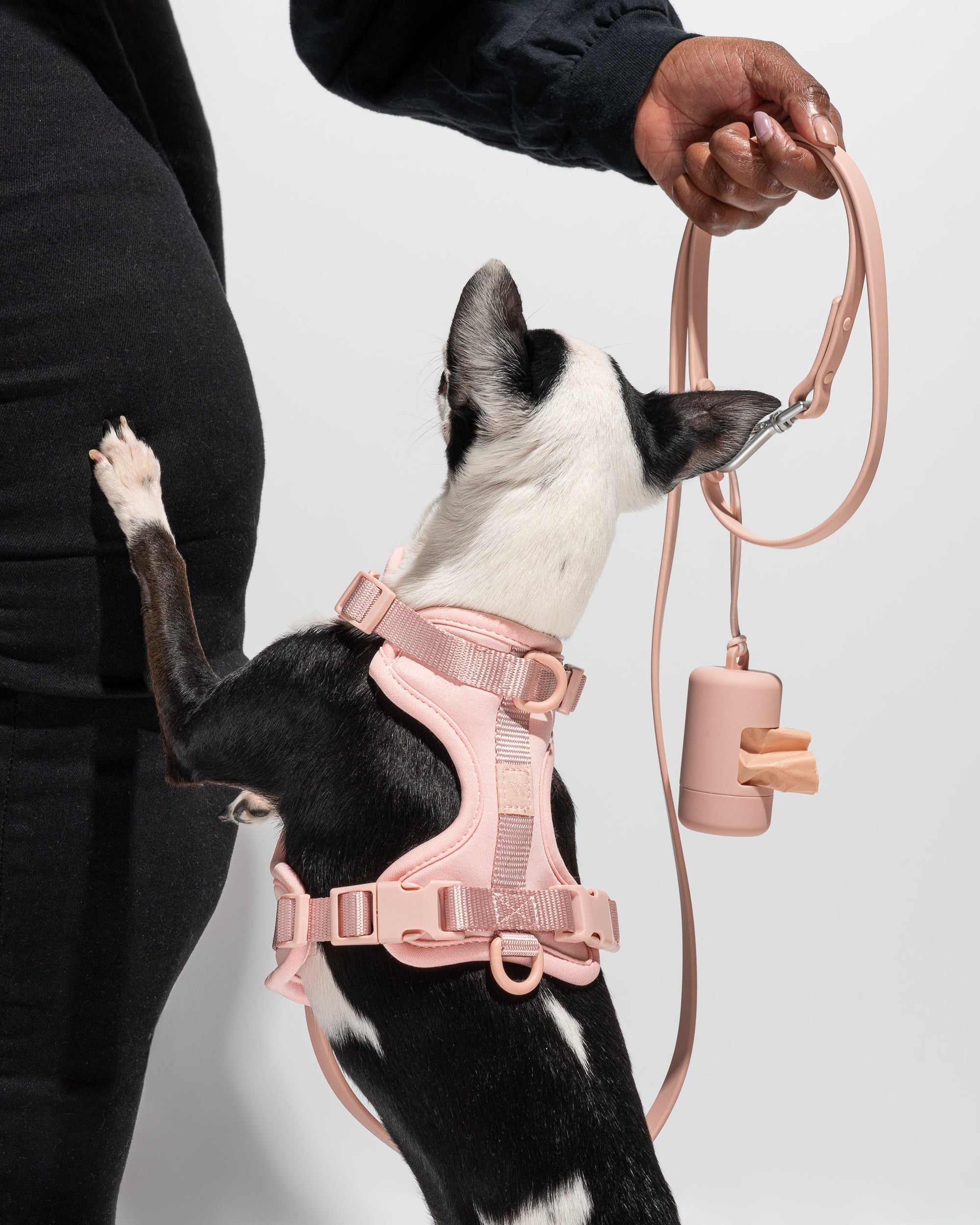 Poop Bag Carrier – Portable Dog Waste Bag Holder