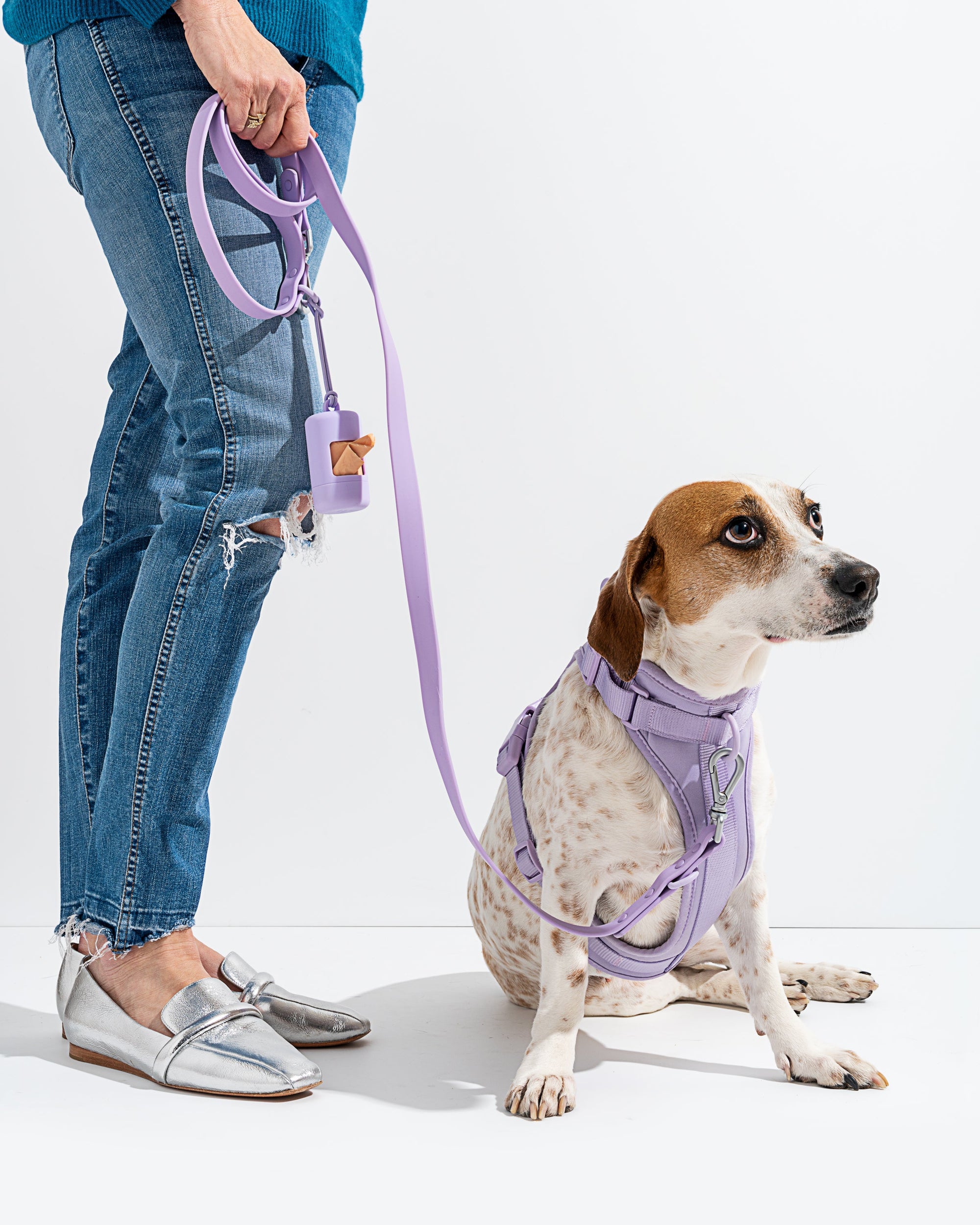 Adjustable Pet Harness – Comfortable &amp; Secure for Dogs &amp; Cats