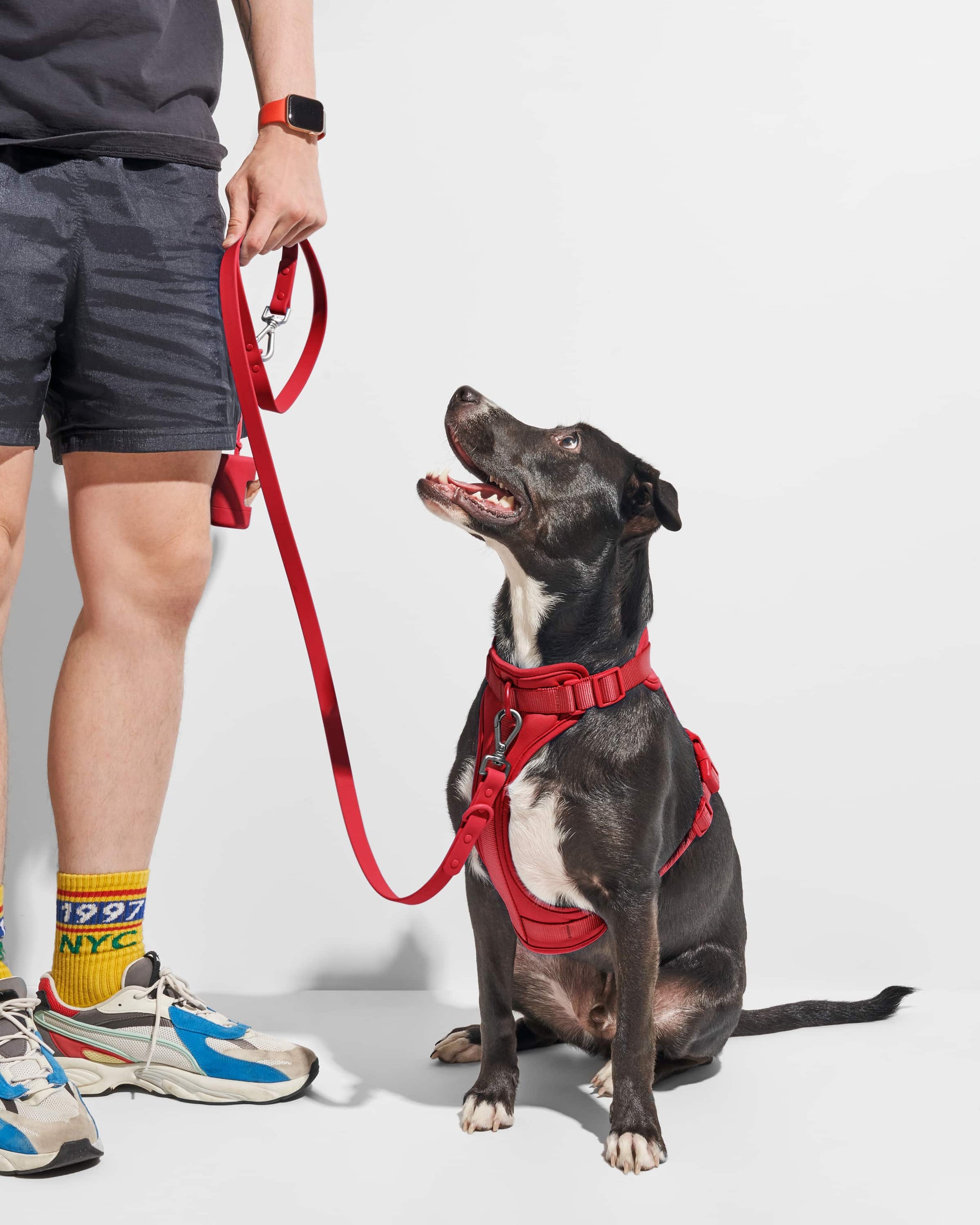 Poop Bag Carrier – Portable Dog Waste Bag Holder