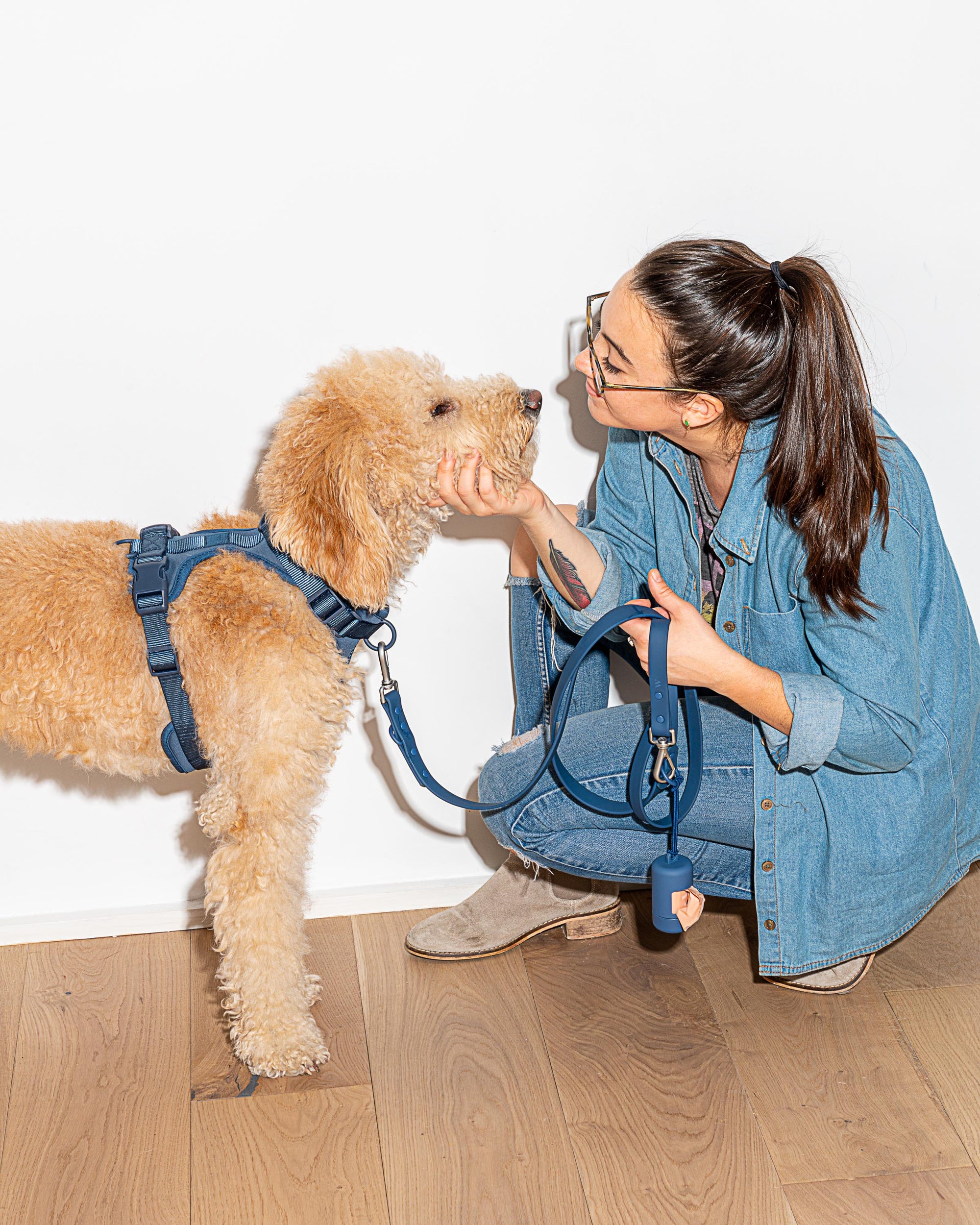 Poop Bag Carrier – Portable Dog Waste Bag Holder