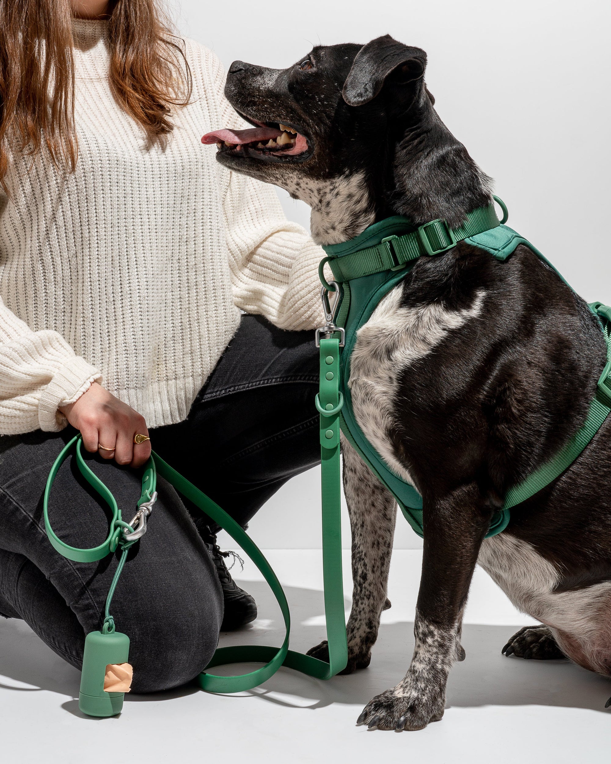 Adjustable Pet Harness – Comfortable &amp; Secure for Dogs &amp; Cats