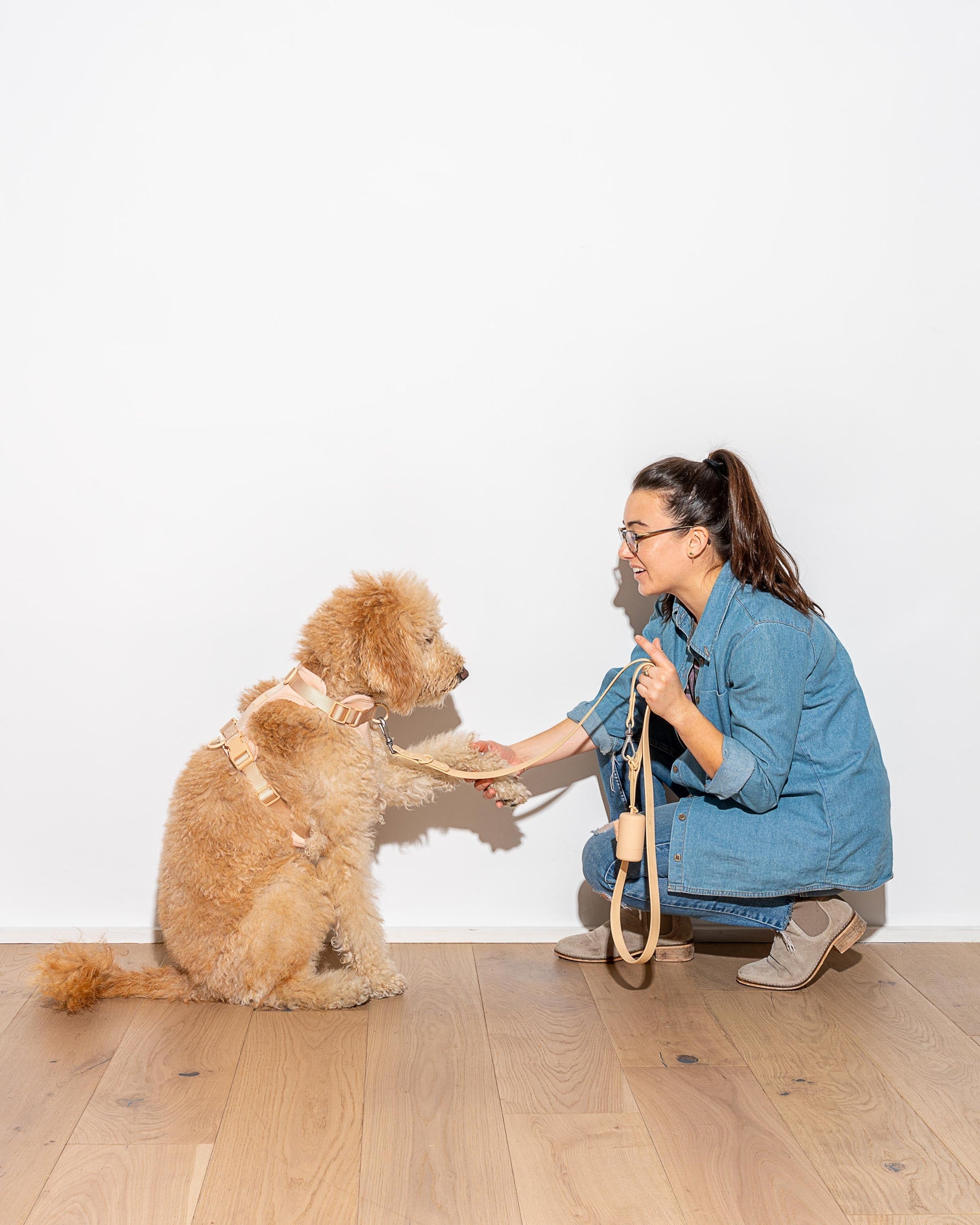 Poop Bag Carrier – Portable Dog Waste Bag Holder
