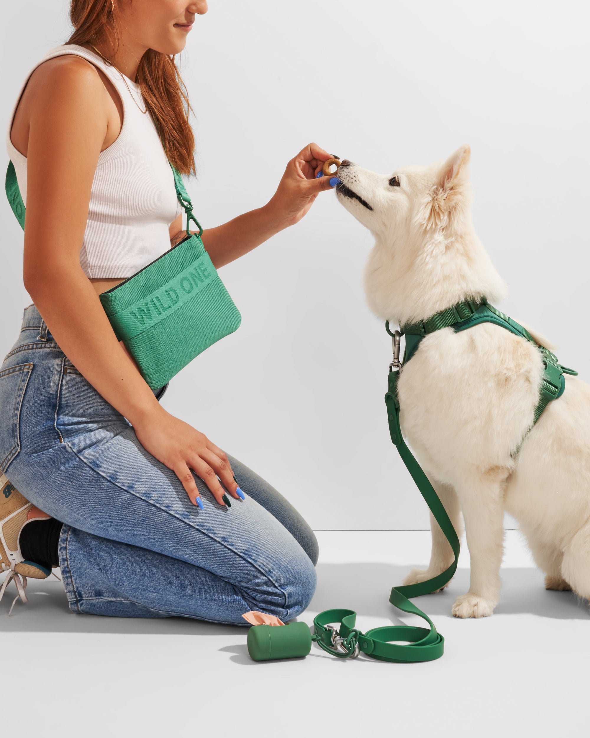 Treat Pouch - Pawhearth