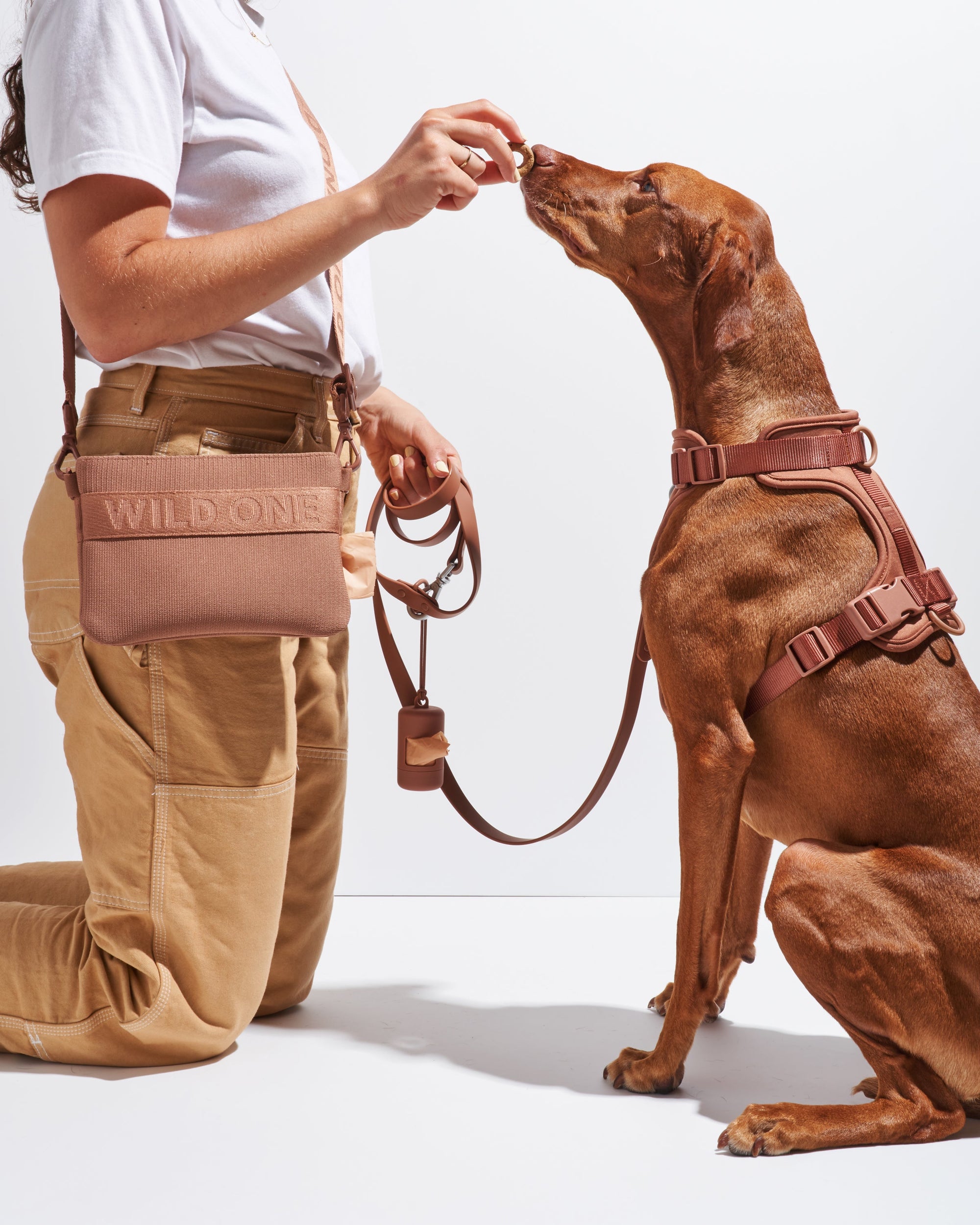Treat Pouch – Convenient Pet Training Snack Bag