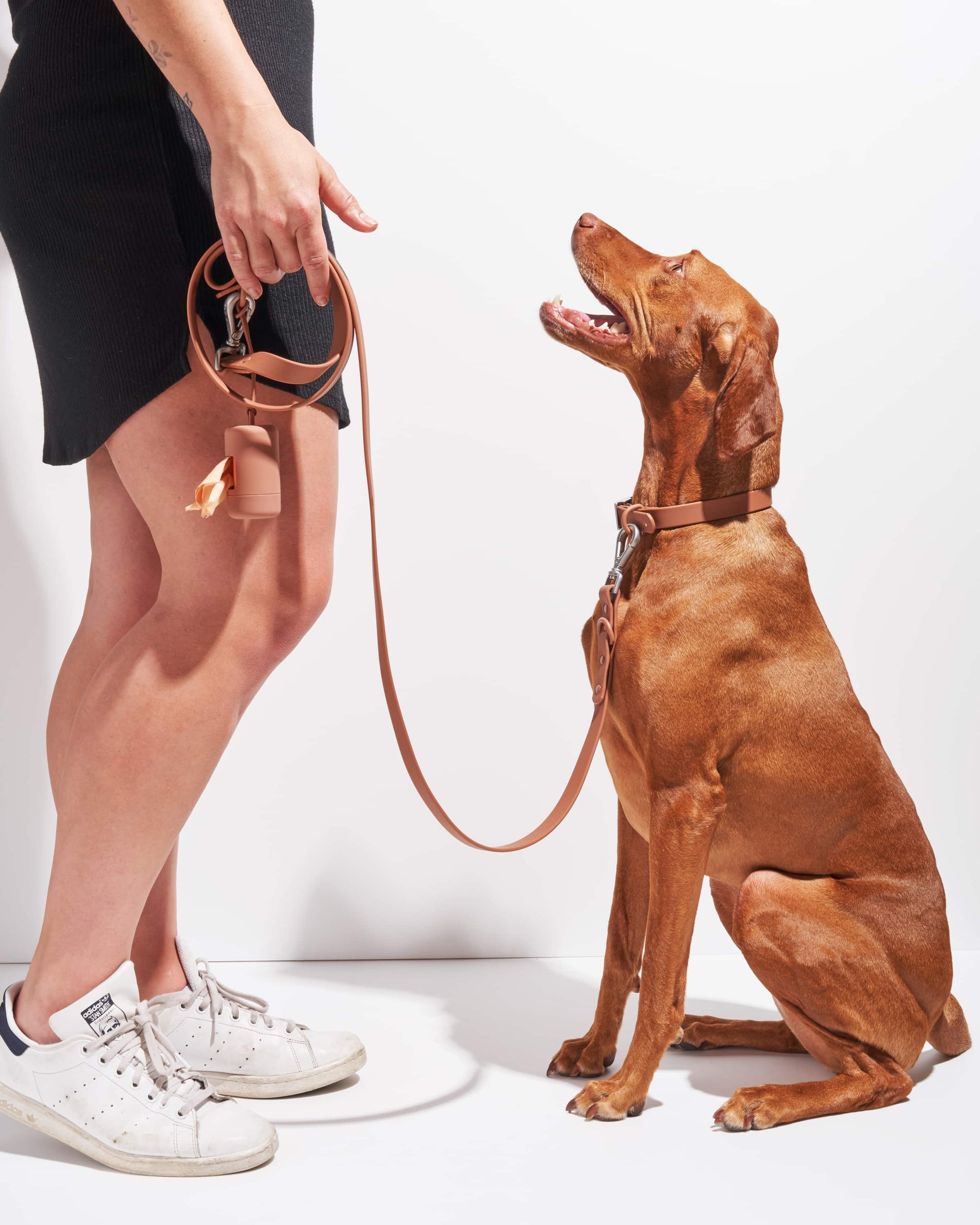 Adjustable Pet Collar – Durable &amp; Comfortable for Dogs &amp; Cats