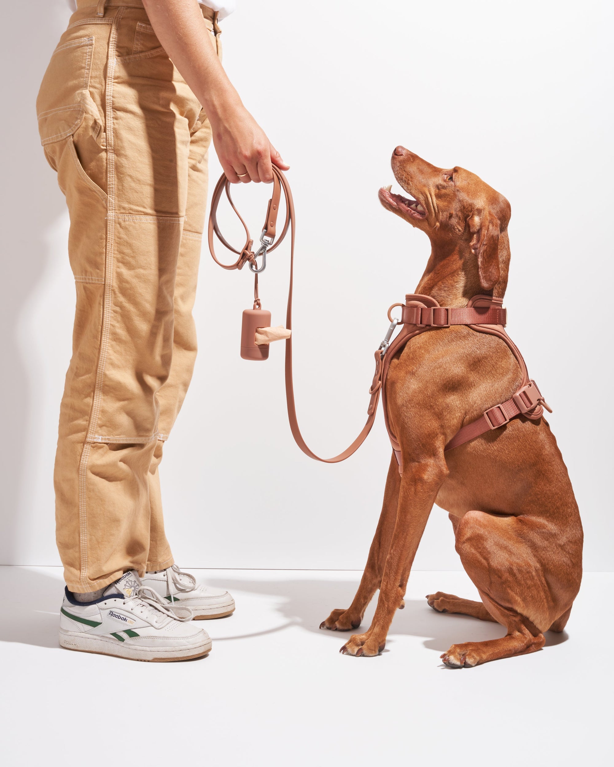 Adjustable Pet Harness – Comfortable &amp; Secure for Dogs &amp; Cats