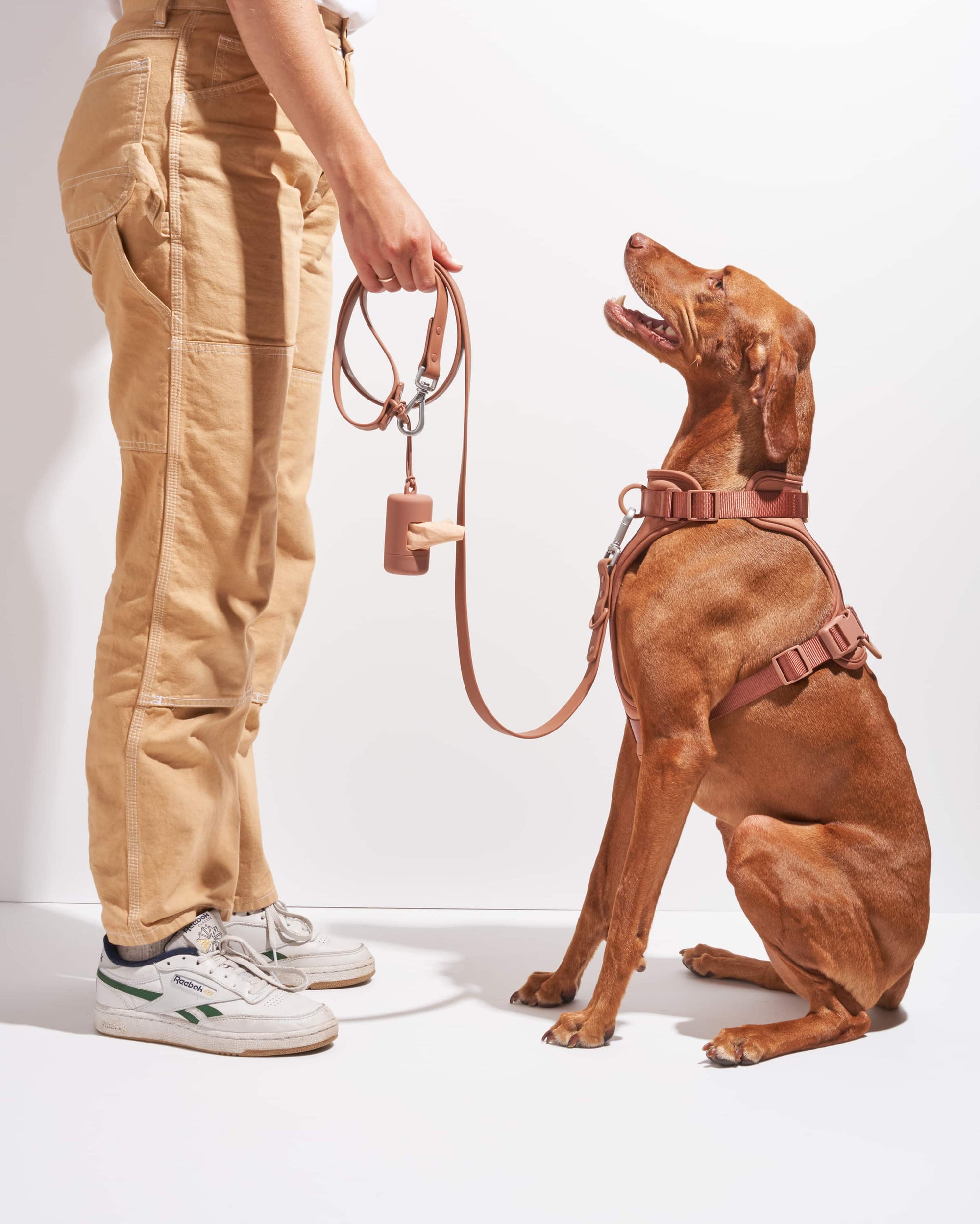 Poop Bag Carrier – Portable Dog Waste Bag Holder