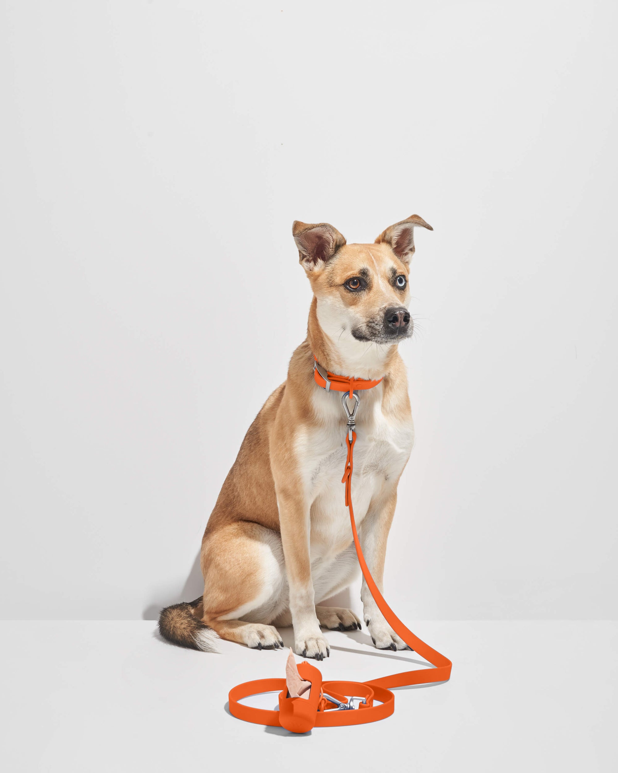 Durable Pet Leash – Comfortable &amp; Secure Walking Lead