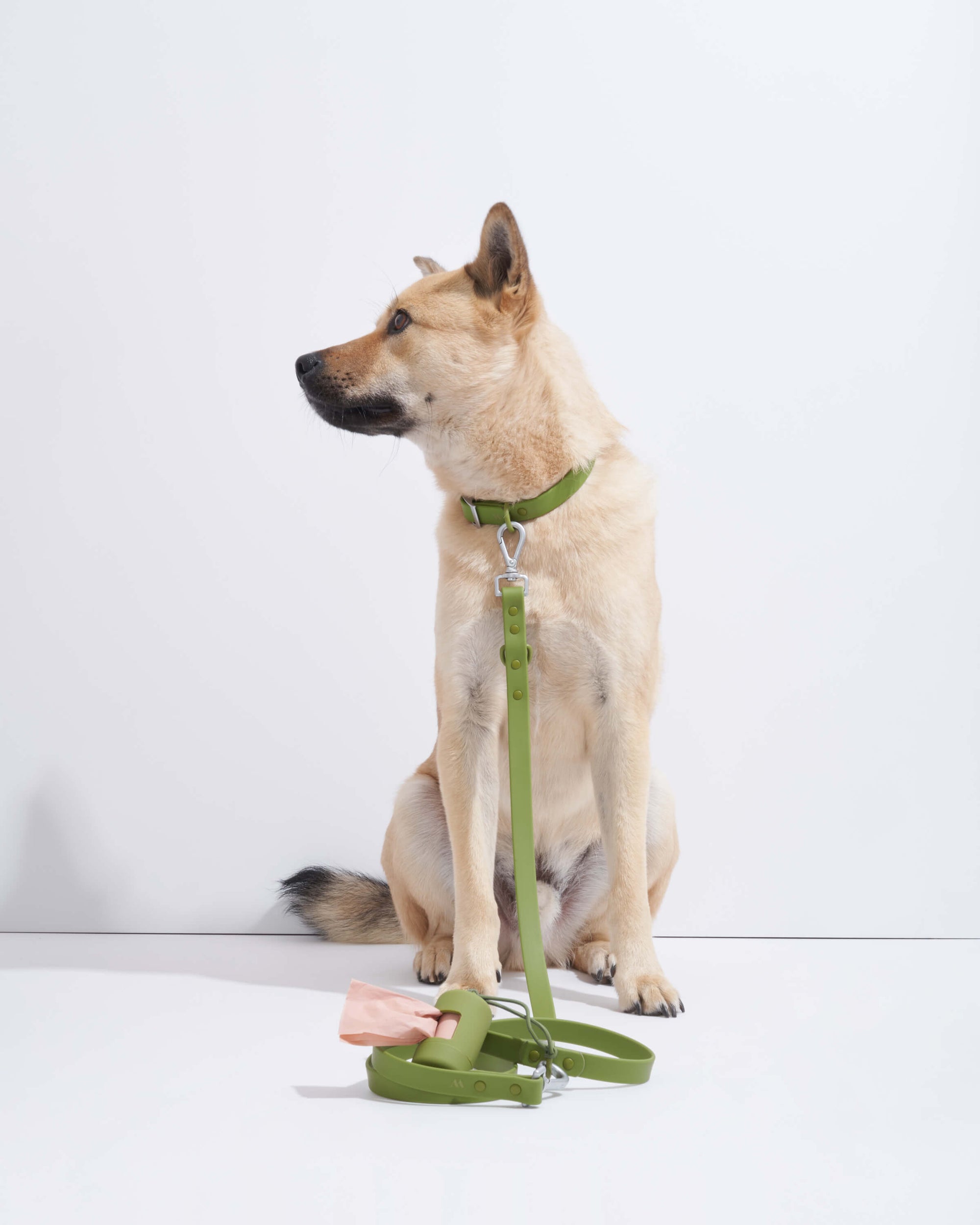 Adjustable Pet Collar – Durable &amp; Comfortable for Dogs &amp; Cats