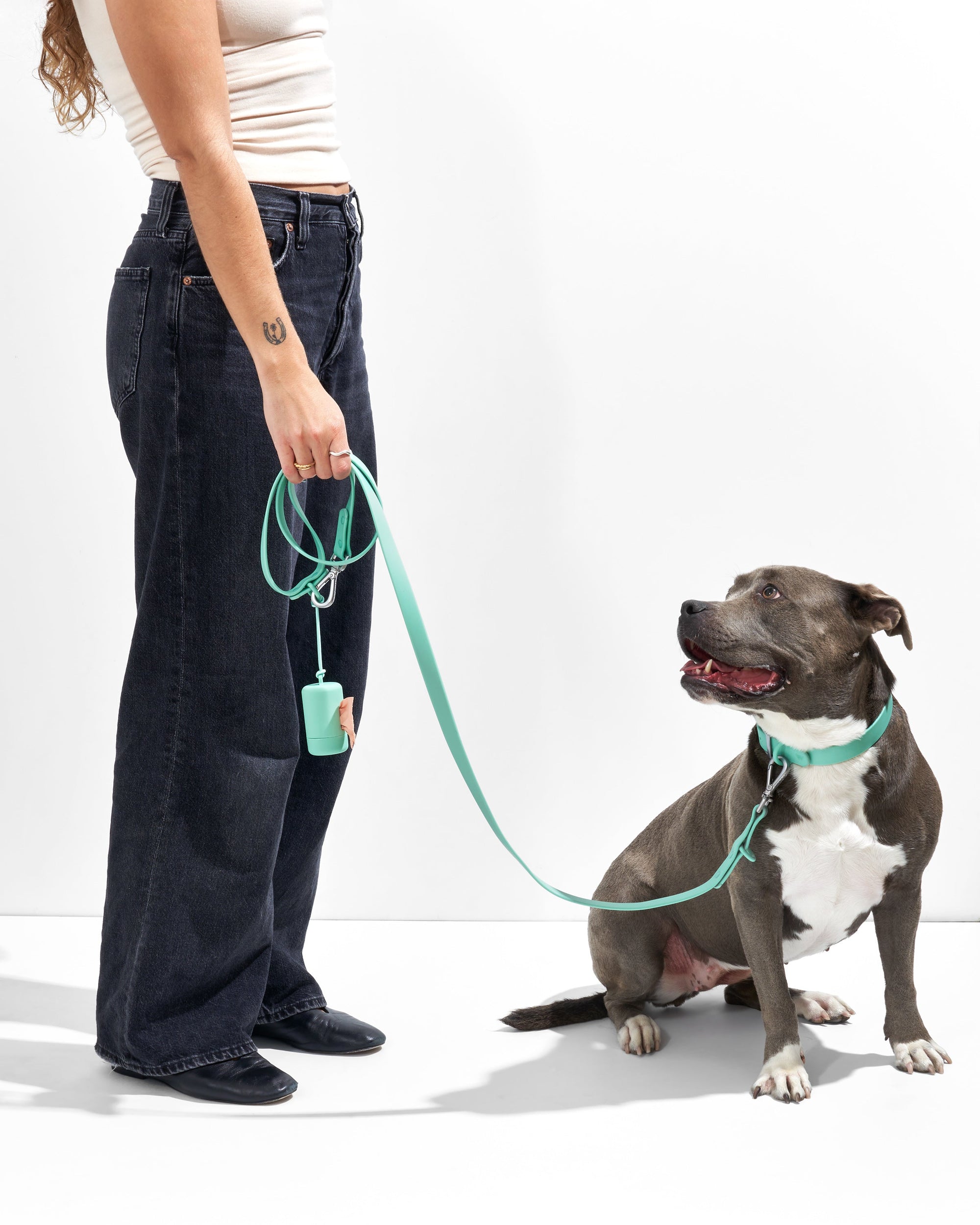 Adjustable Pet Collar – Durable &amp; Comfortable for Dogs &amp; Cats