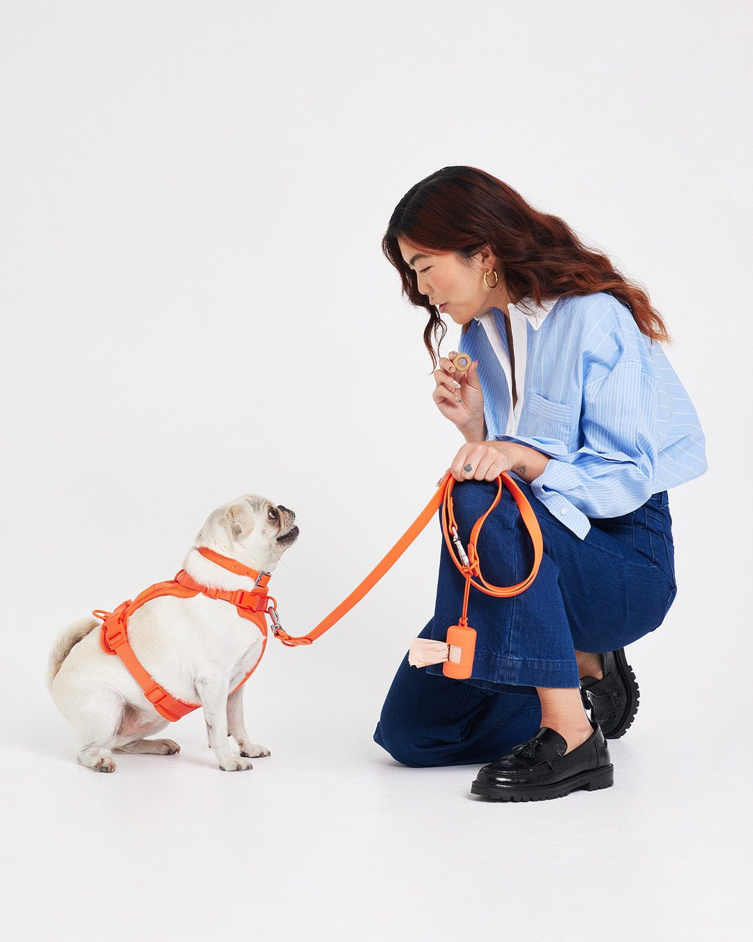 Poop Bag Carrier – Portable Dog Waste Bag Holder