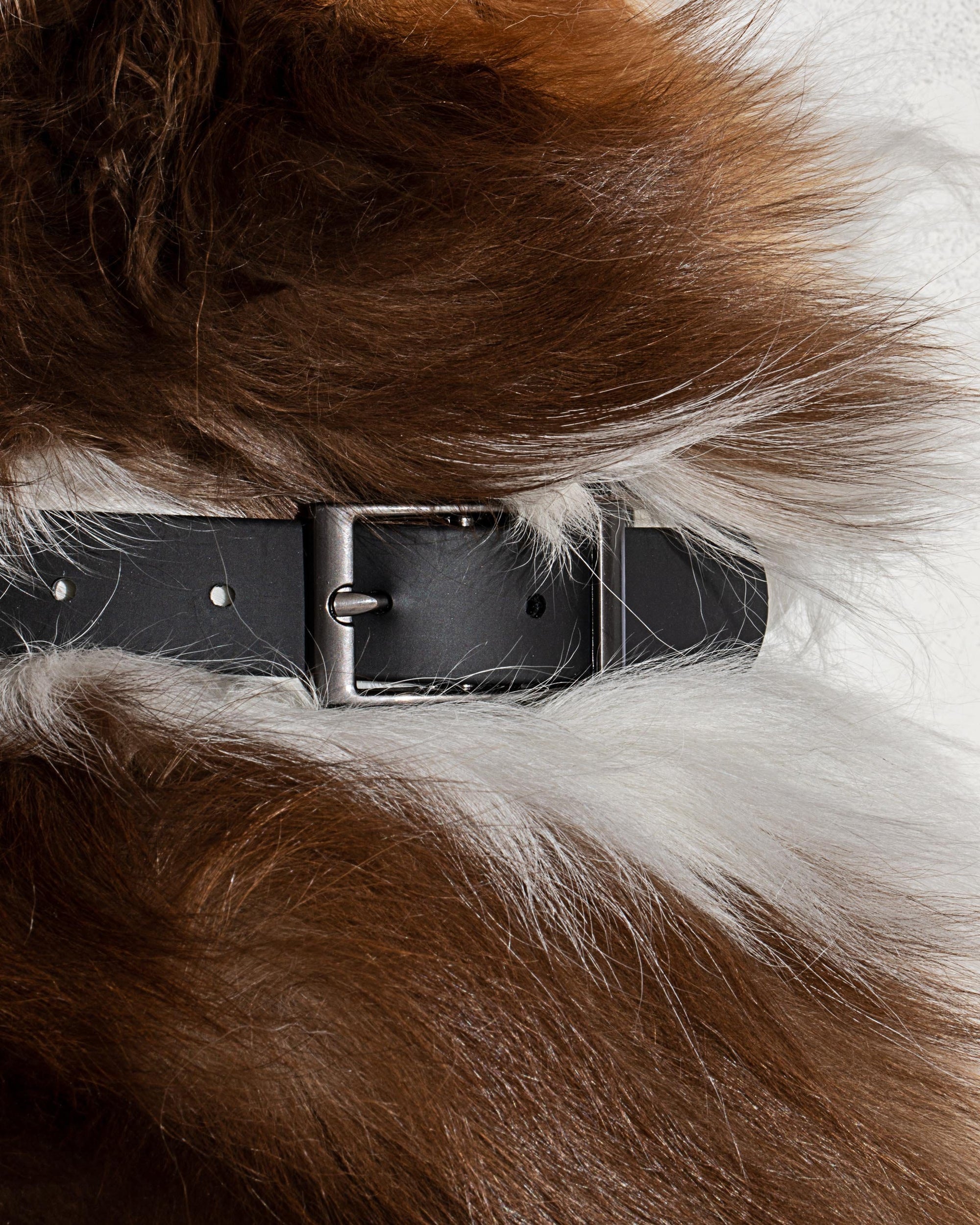 Adjustable Pet Collar – Durable &amp; Comfortable for Dogs &amp; Cats