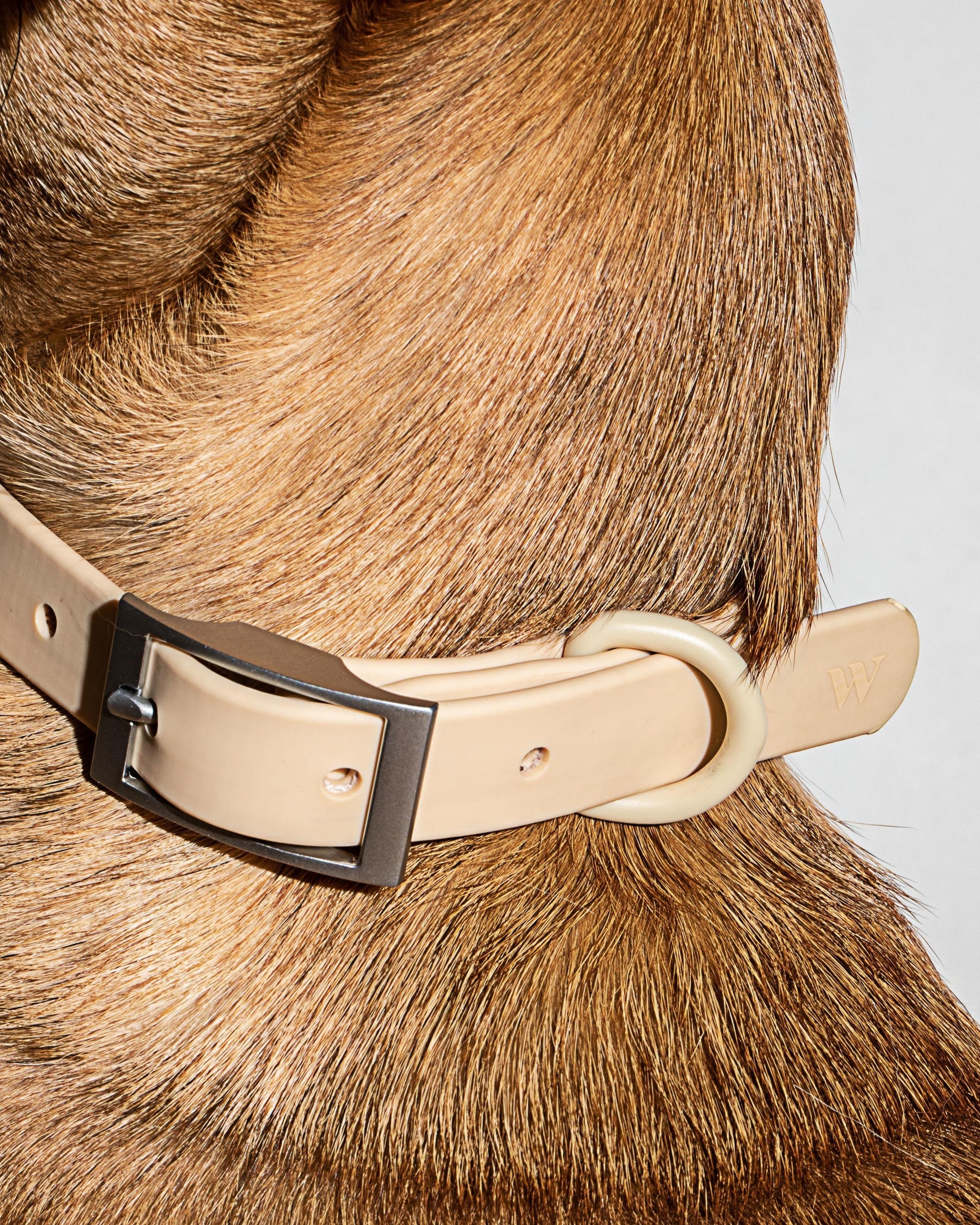 Adjustable Pet Collar – Durable &amp; Comfortable for Dogs &amp; Cats