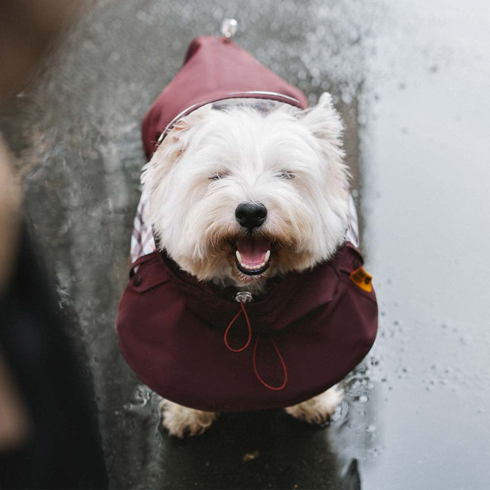 Waterproof Vintage Plaid Adjustable Dog Raincoat - All-Weather Protection - Pawhearth
