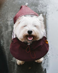 Waterproof Vintage Plaid Adjustable Dog Raincoat - All-Weather Protection - Pawhearth