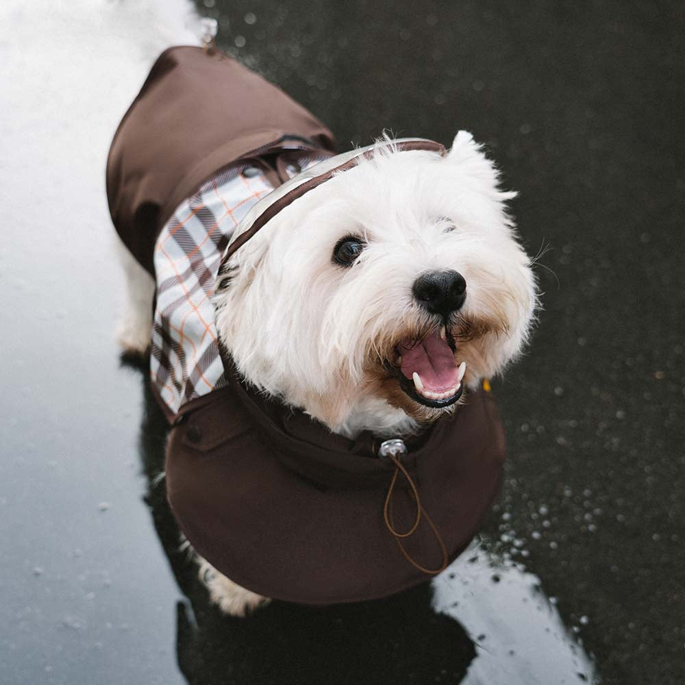 Waterproof Vintage Plaid Adjustable Dog Raincoat - All-Weather Protection - Pawhearth