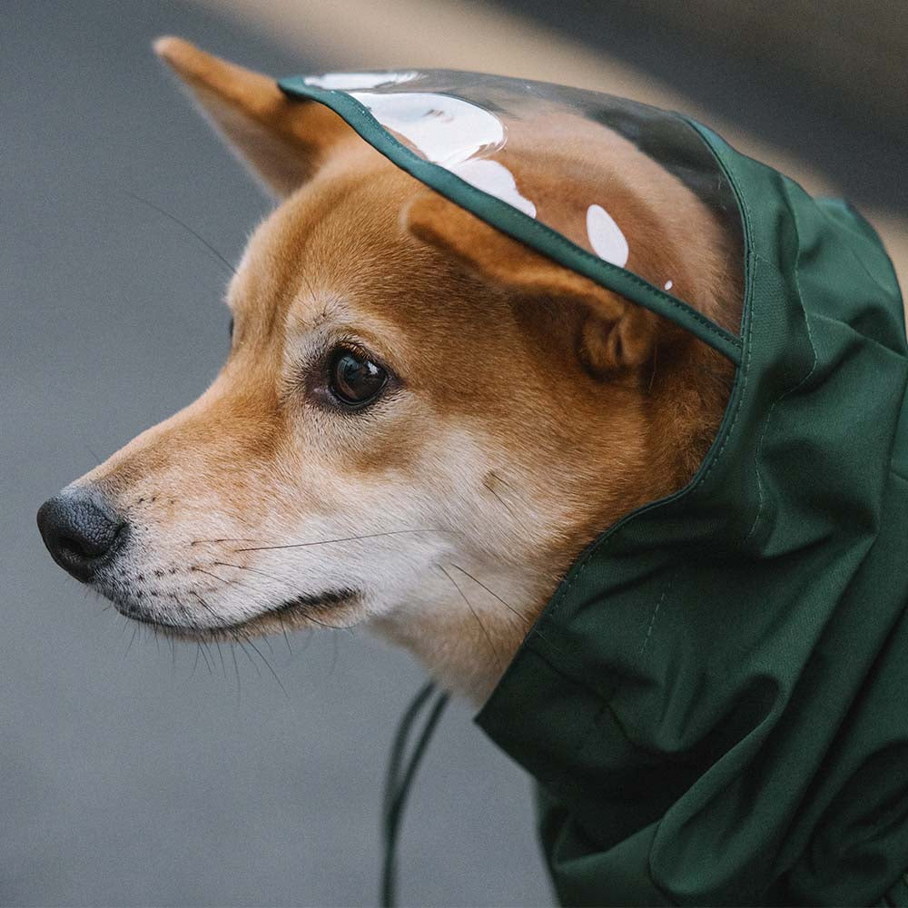 Waterproof Vintage Plaid Adjustable Dog Raincoat - All-Weather Protection - Pawhearth