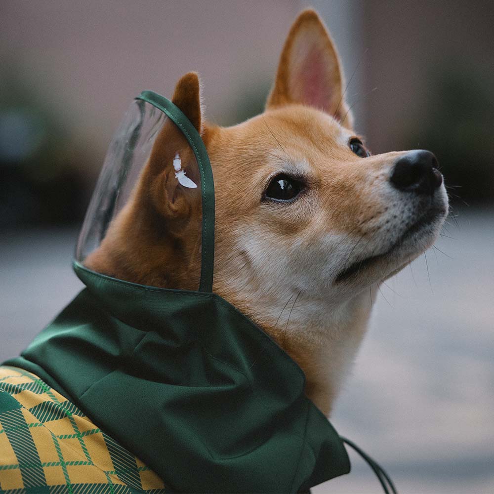 Waterproof Vintage Plaid Adjustable Dog Raincoat - All-Weather Protection - Pawhearth