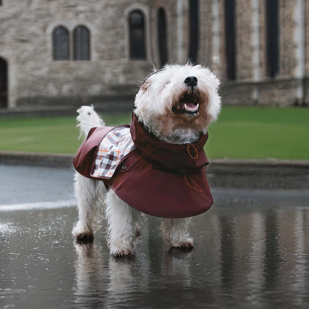 Waterproof Vintage Plaid Adjustable Dog Raincoat - All-Weather Protection - Pawhearth
