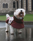 Waterproof Vintage Plaid Adjustable Dog Raincoat - All-Weather Protection - Pawhearth