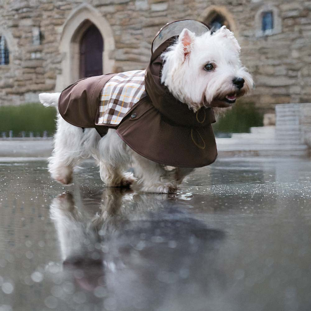 Waterproof Vintage Plaid Adjustable Dog Raincoat - All-Weather Protection - Pawhearth
