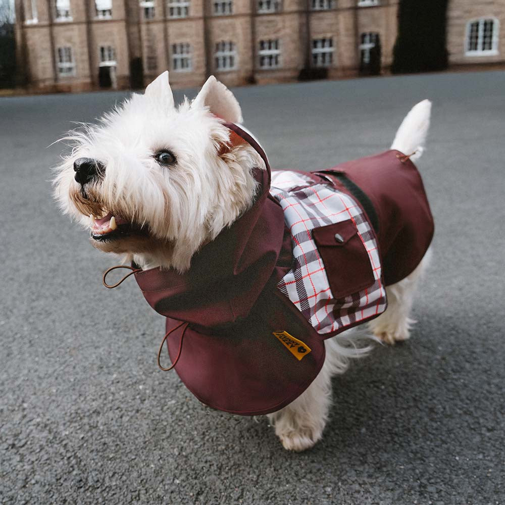 Waterproof Vintage Plaid Adjustable Dog Raincoat - All-Weather Protection - Pawhearth