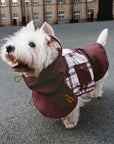 Waterproof Vintage Plaid Adjustable Dog Raincoat - All-Weather Protection - Pawhearth