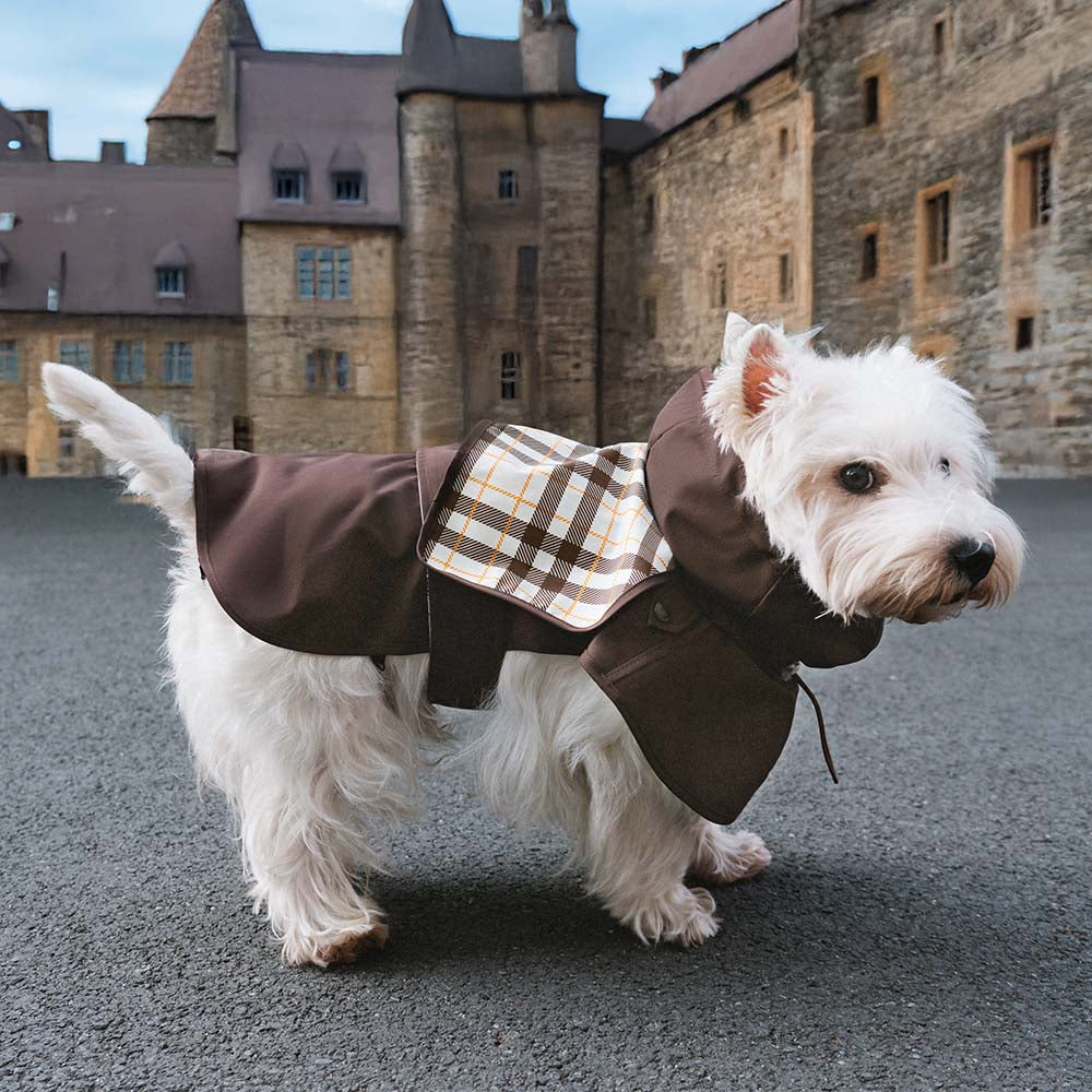 Waterproof Vintage Plaid Adjustable Dog Raincoat - All-Weather Protection - Pawhearth