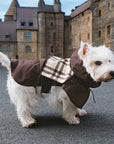Waterproof Vintage Plaid Adjustable Dog Raincoat - All-Weather Protection - Pawhearth