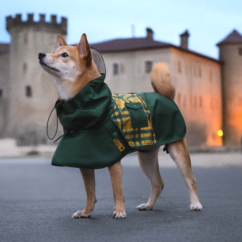 Waterproof Vintage Plaid Adjustable Dog Raincoat - All-Weather Protection - Pawhearth