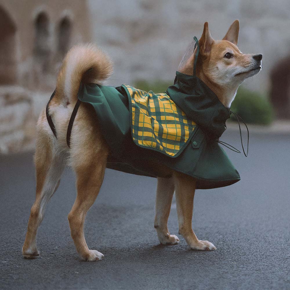 Waterproof Vintage Plaid Adjustable Dog Raincoat - All-Weather Protection - Pawhearth