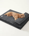 Anti-Anxiety with Sponge Support Deep Sleeping Dog Bed - Pawhearth