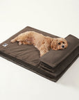 Anti-Anxiety with Sponge Support Deep Sleeping Dog Bed - Pawhearth