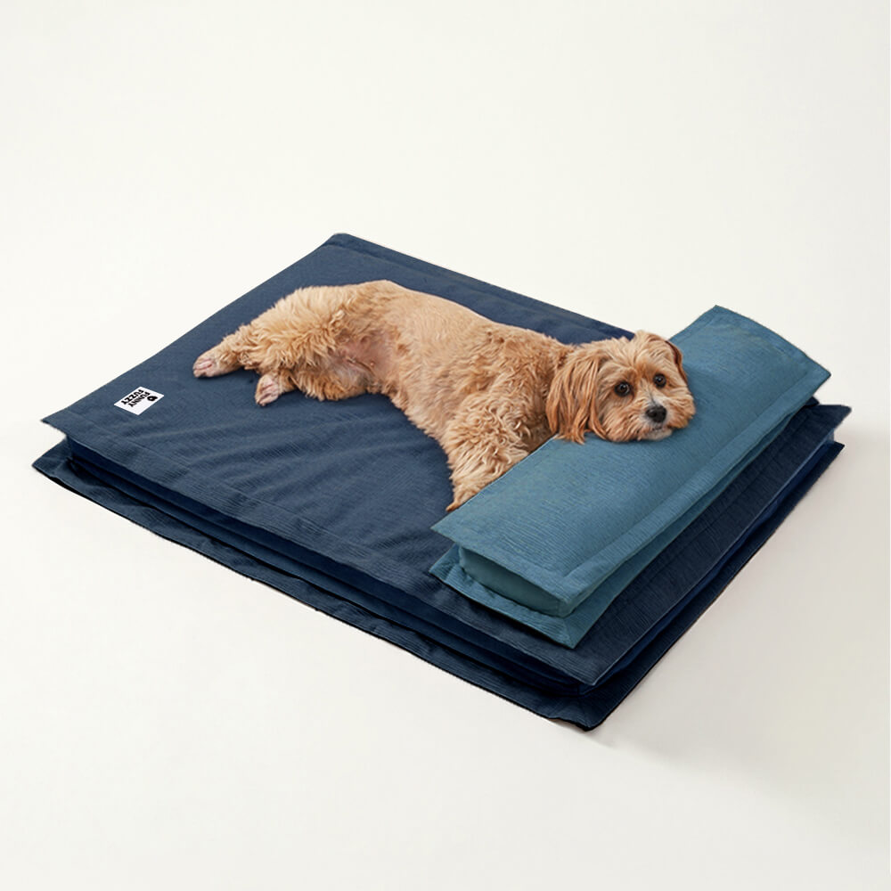 Anti-Anxiety with Sponge Support Deep Sleeping Dog Bed - Pawhearth