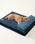 Anti-Anxiety with Sponge Support Deep Sleeping Dog Bed - Pawhearth