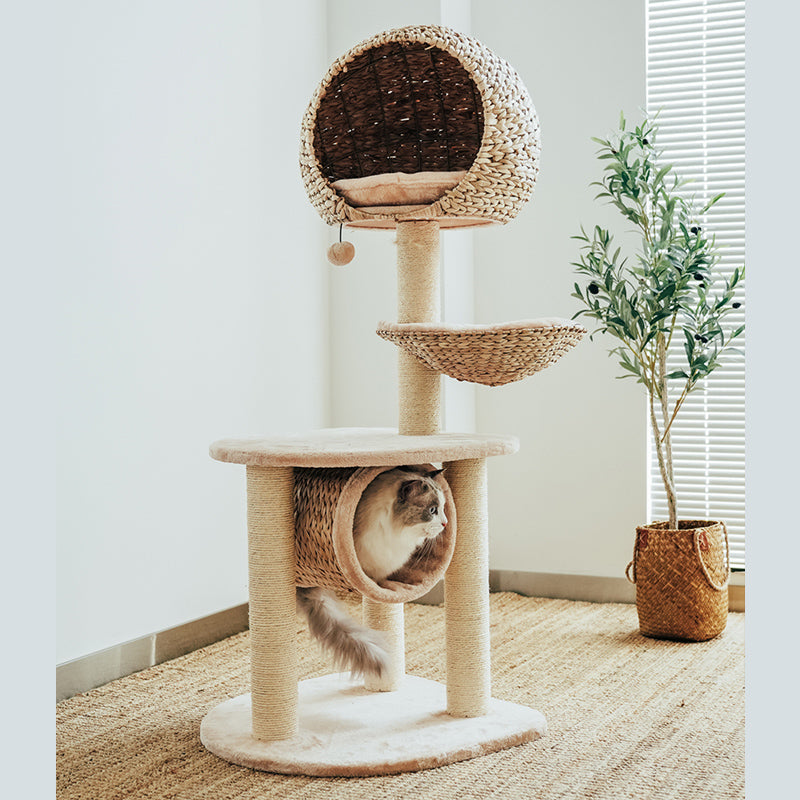 Bird Nest Cat Tree - Pawhearth