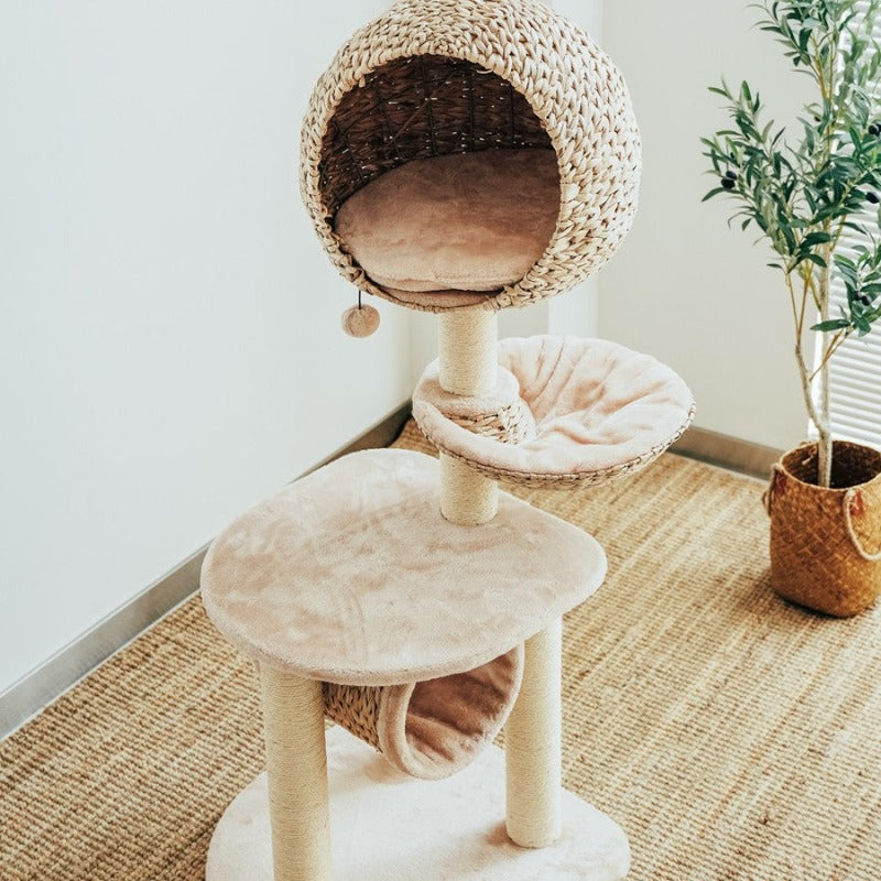 Bird Nest Cat Tree - Pawhearth
