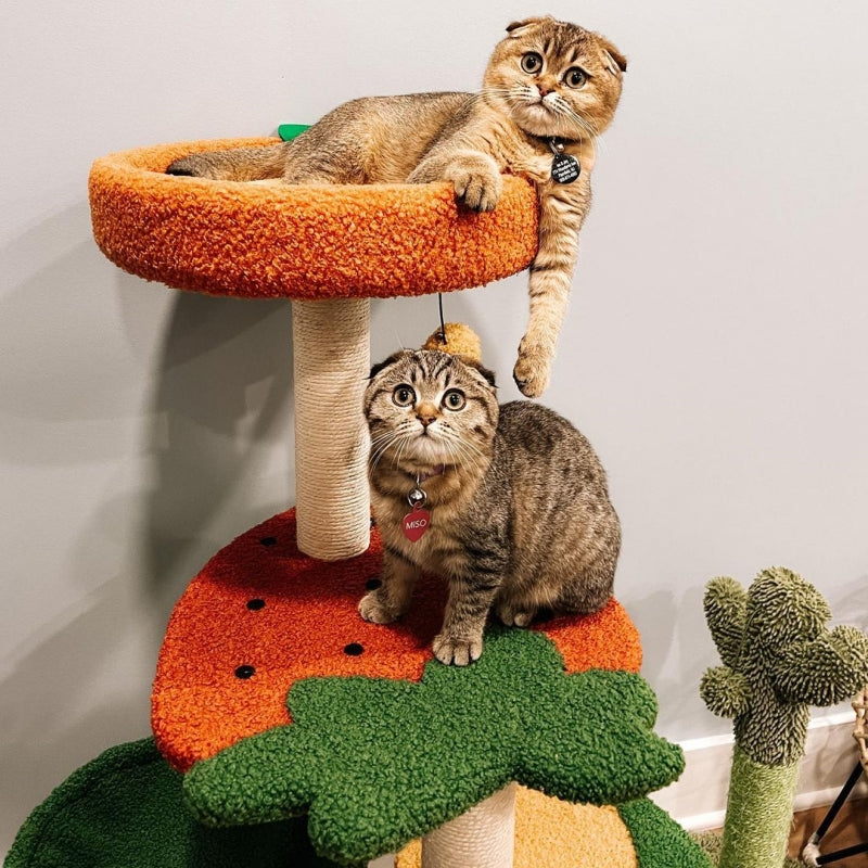 Fruit World Cat Tree - Pawhearth