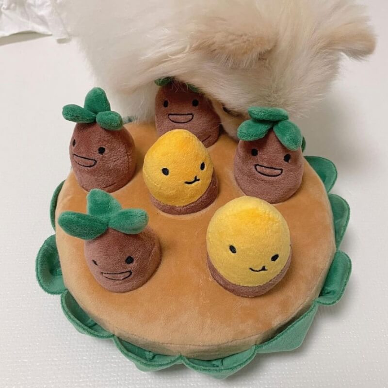Sweet Potato Interactive Dog Puzzle Toy Set – Fun &amp; Engaging